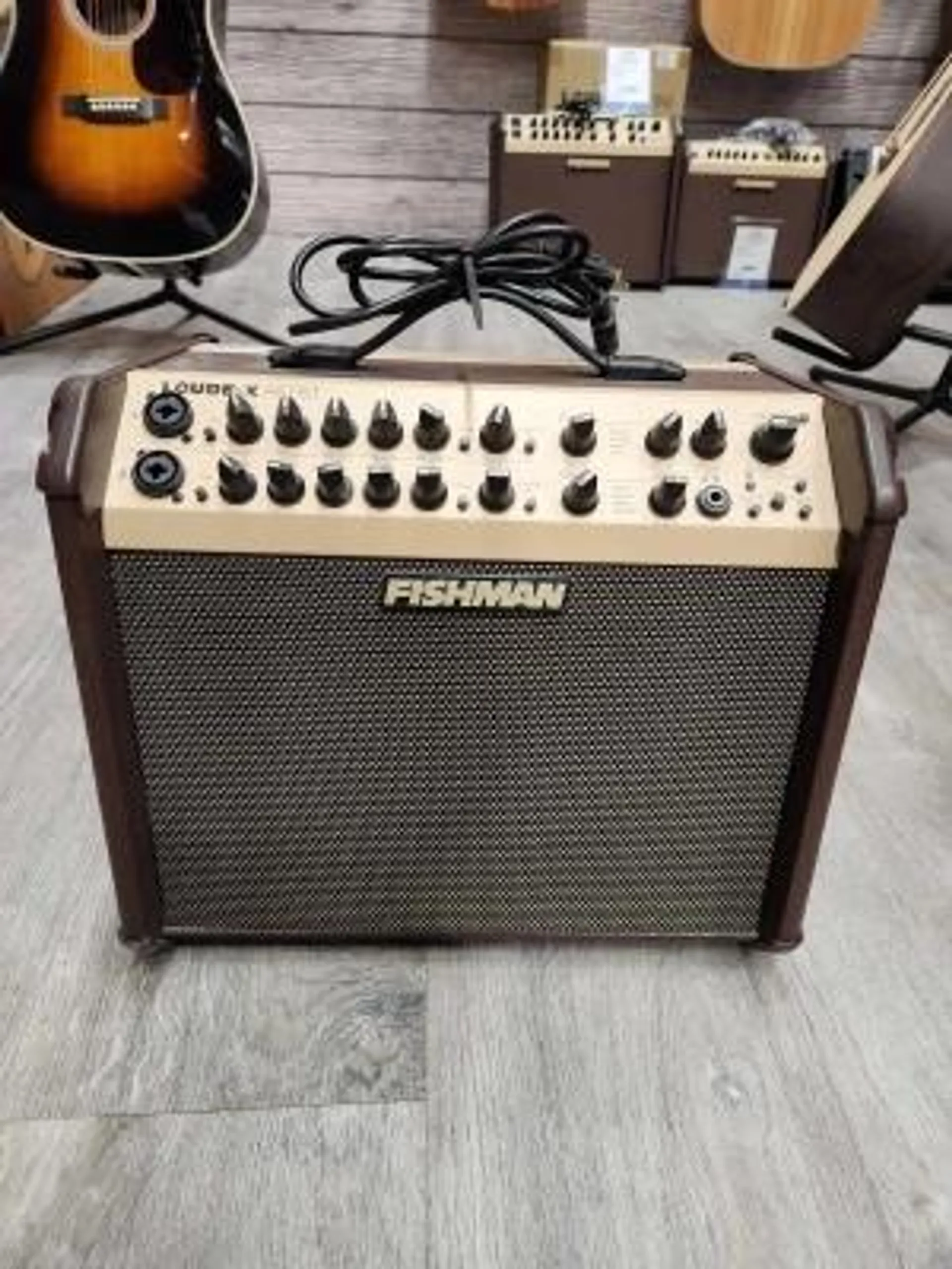 Fishman - LOUDBOX ARTIST BLUETOOTH-120 WATTS