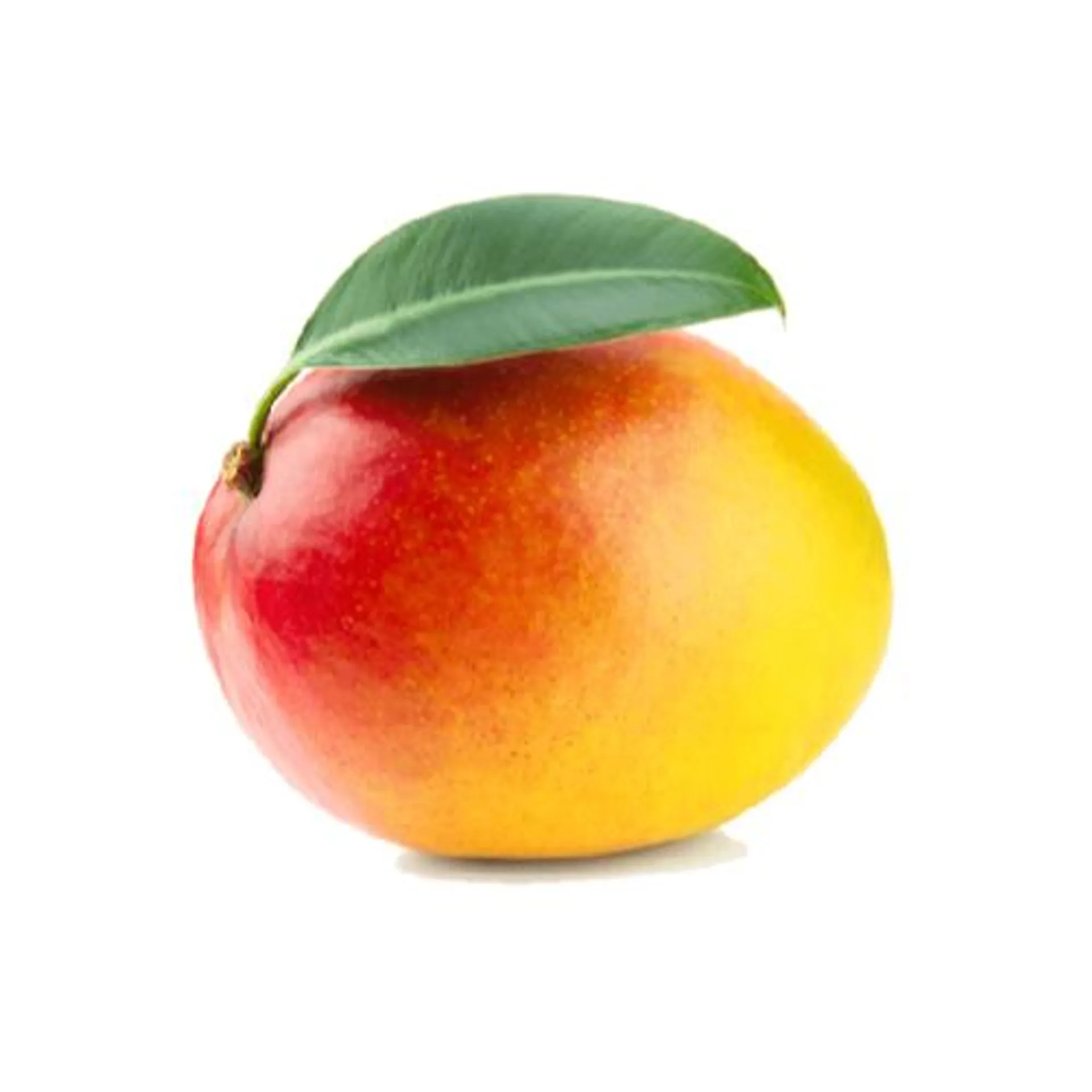 Jumbo Mangoes