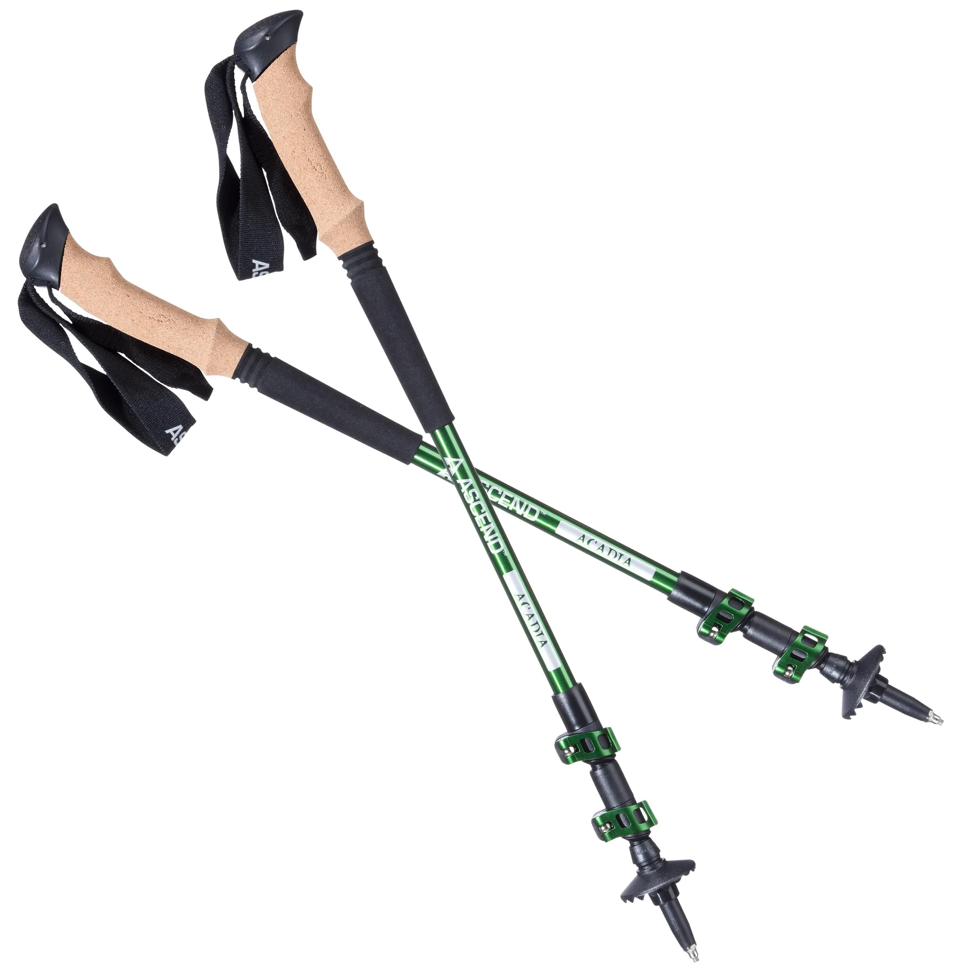 Ascend Acadia Trekking Poles