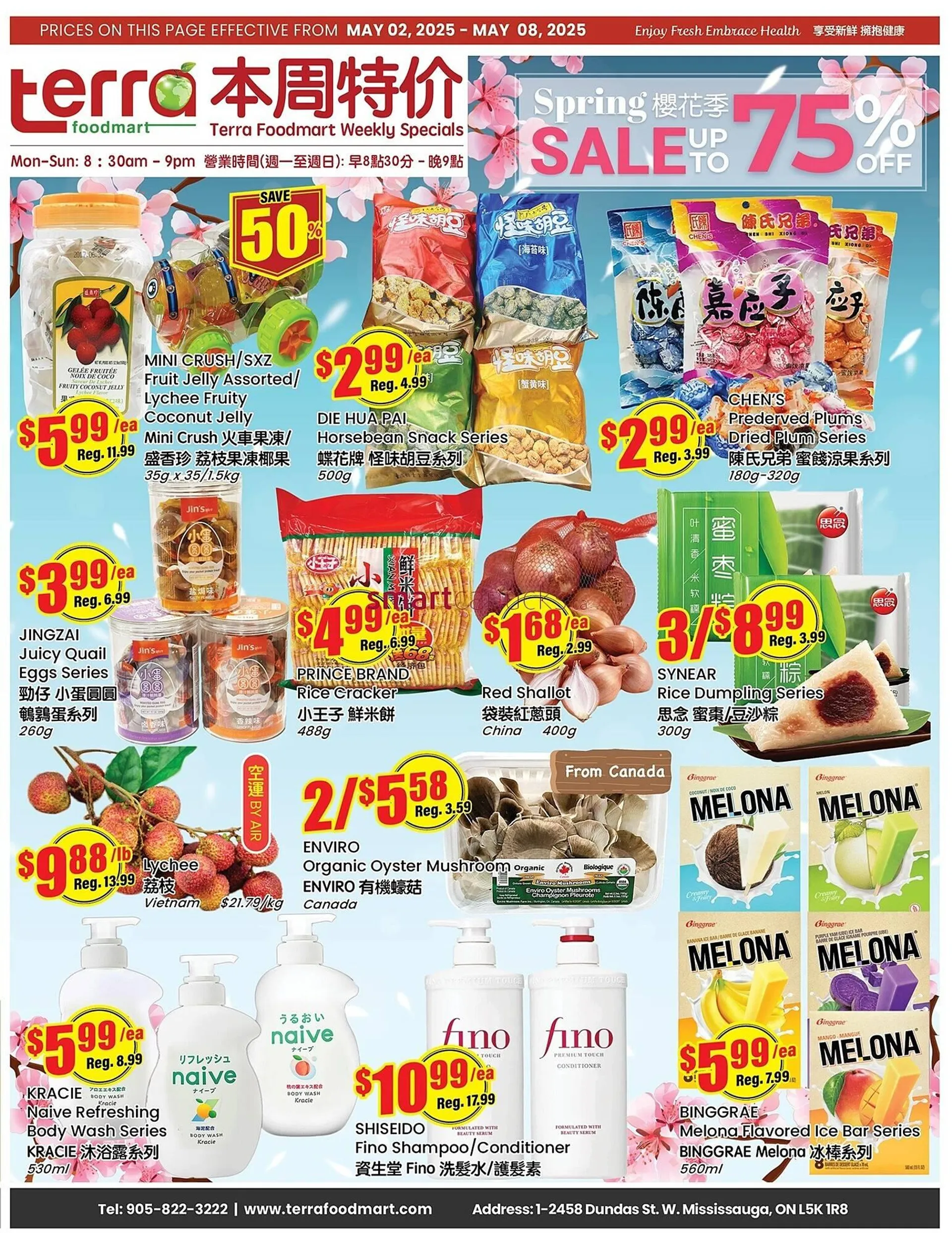 Terra Foodmart flyer - 1