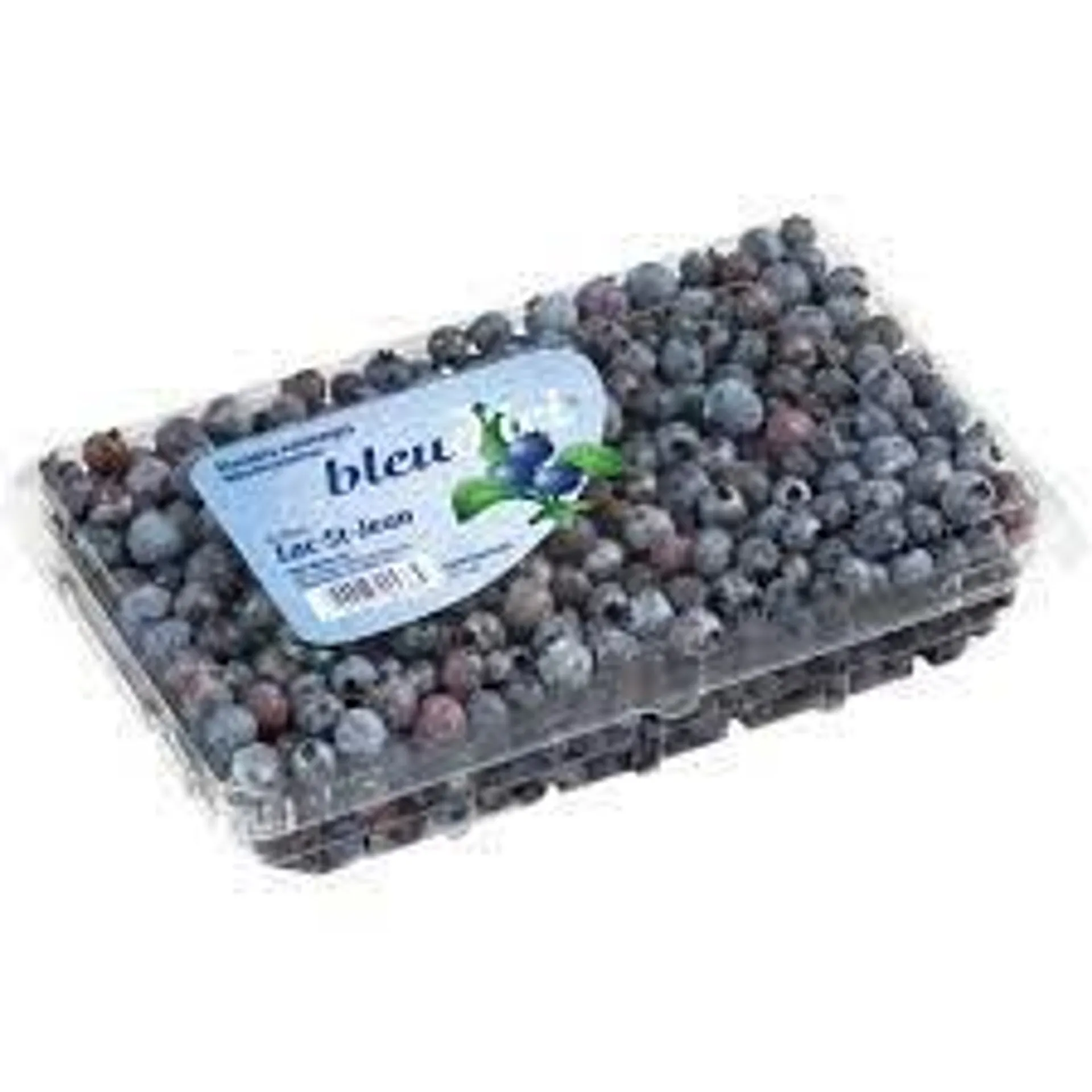 FRESH BLUEBERRIES CLAMSHELL 551mL