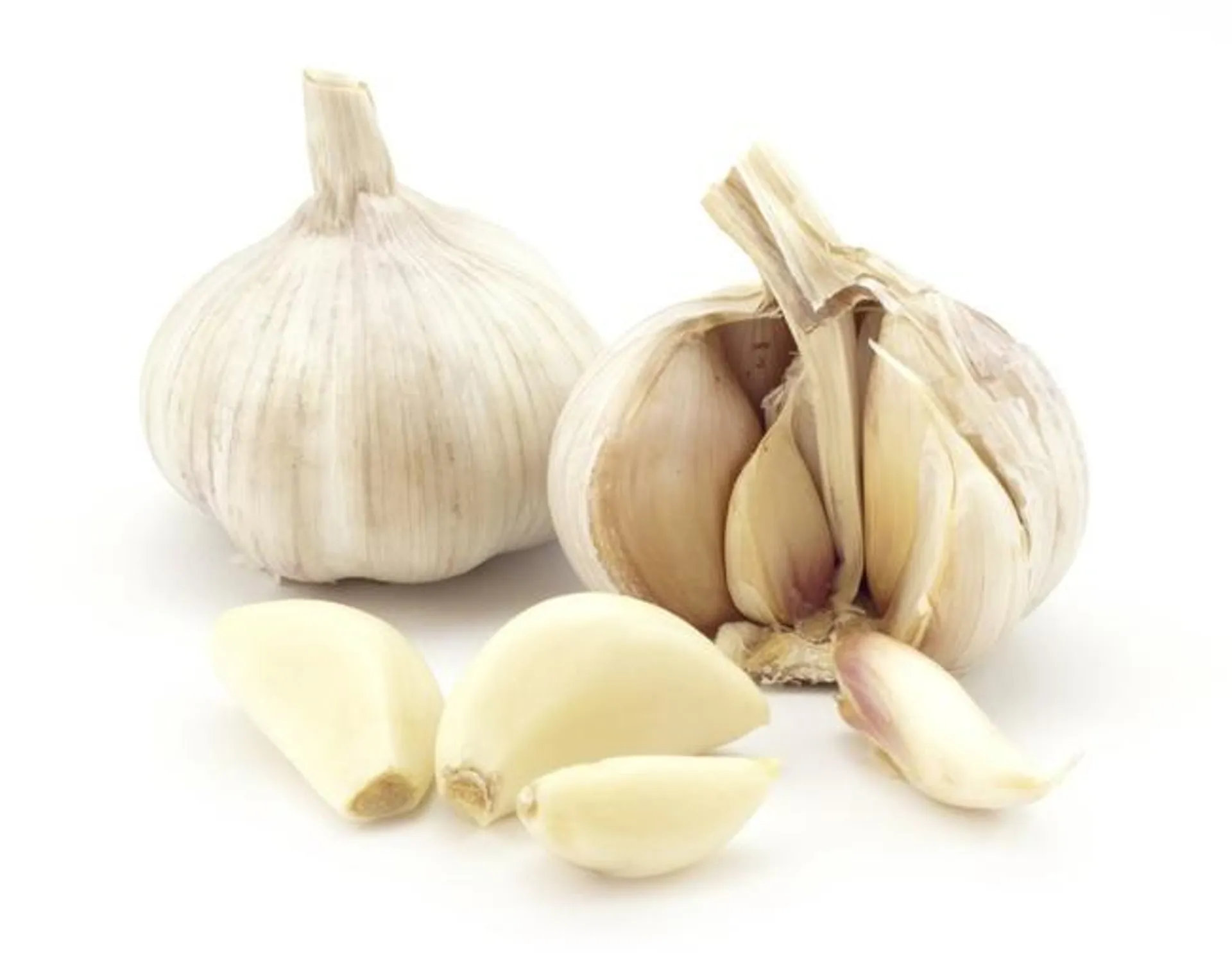 Garlic 3 Pack