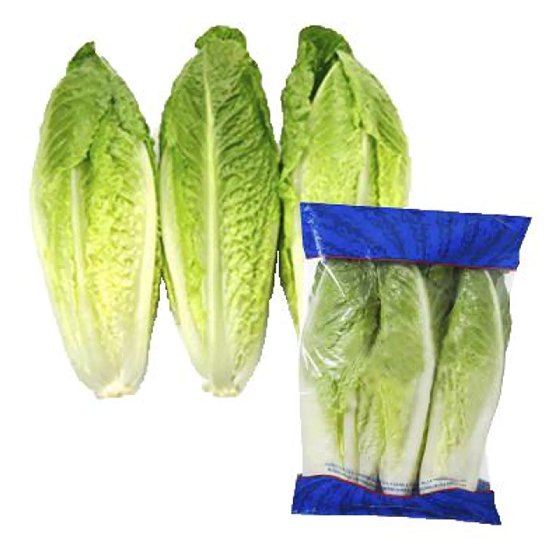 Romaine Hearts