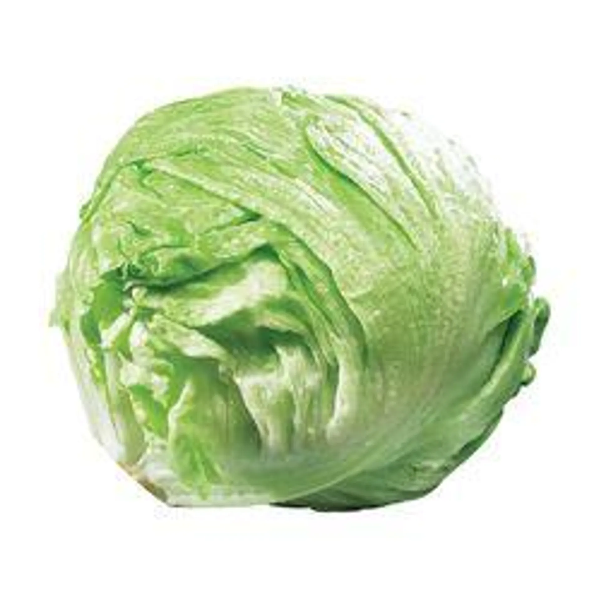 Local Iceberg Lettuce