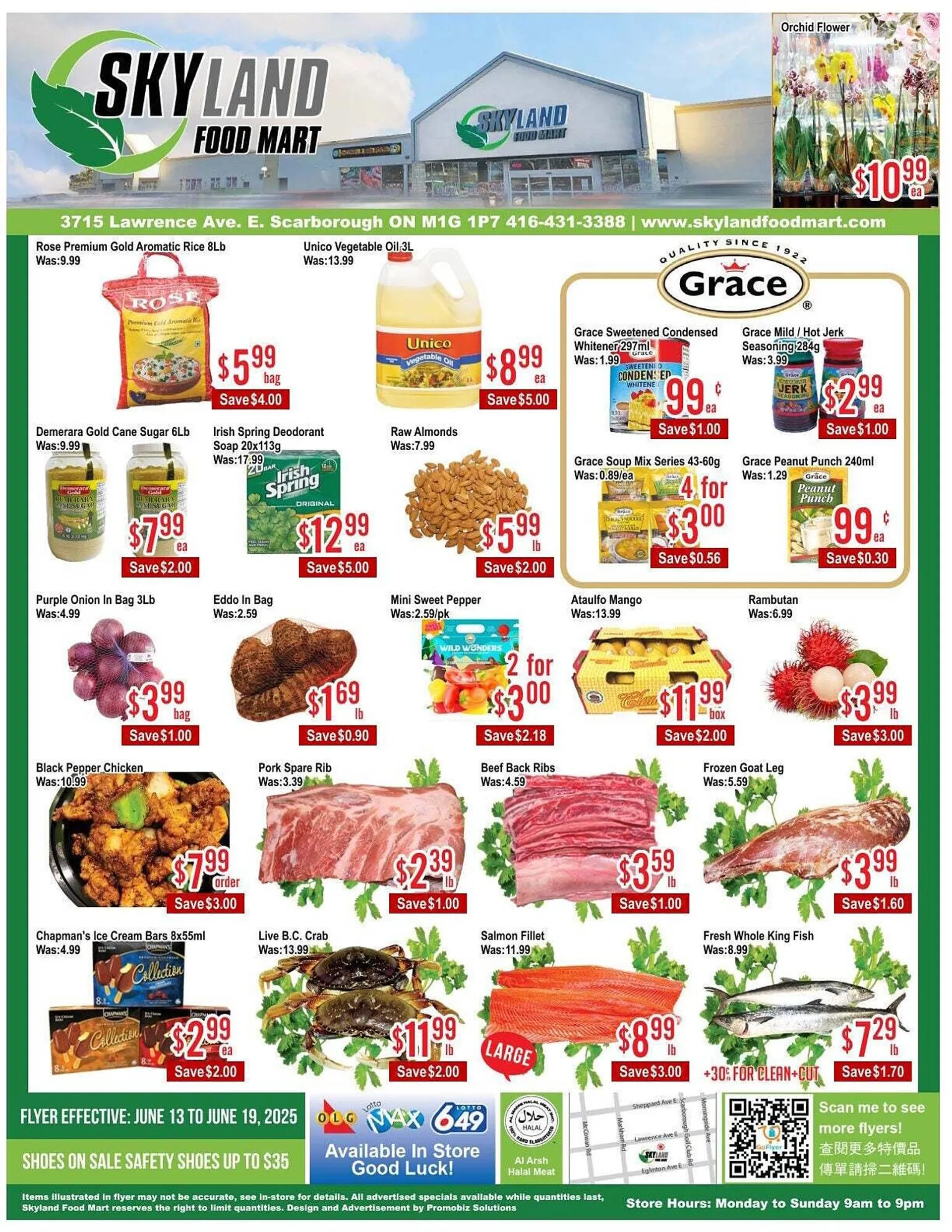 Skyland Foodmart flyer from June 13 to June 20 2025 - flyer page 1
