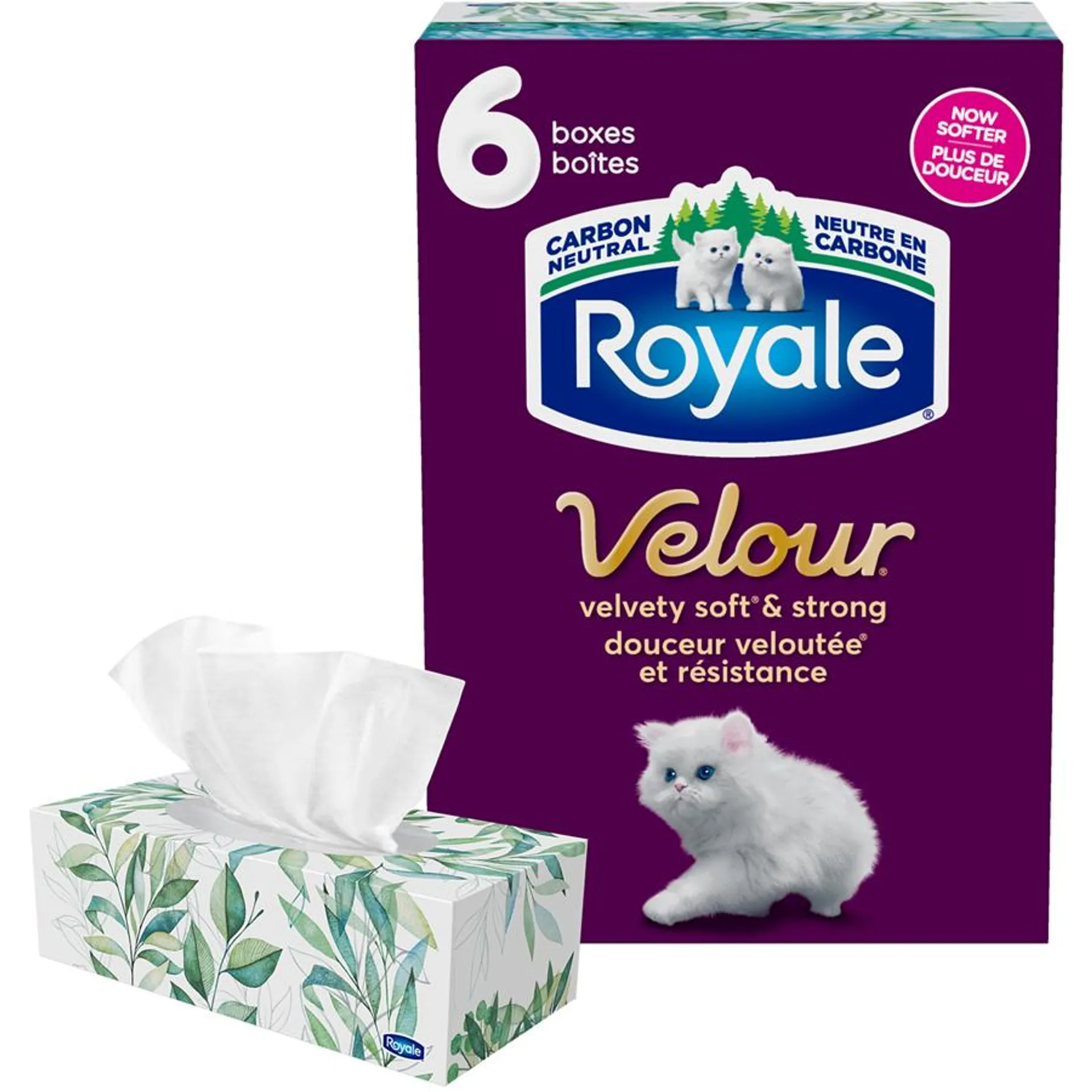 Velour 3 Ply Facial Tissue, 6 Tissue Boxes, 72 Tissues per box