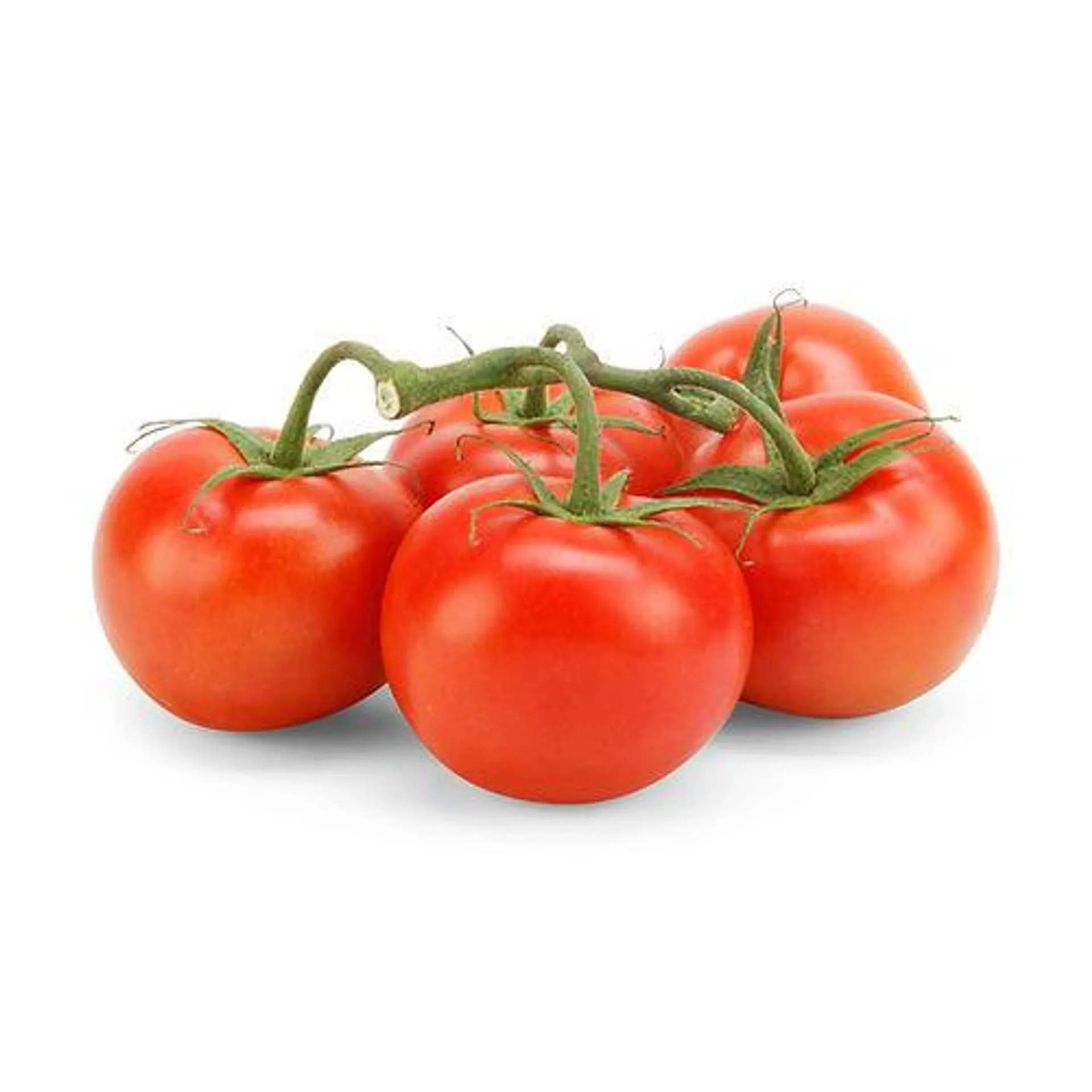 On-the-Vine Tomatoes