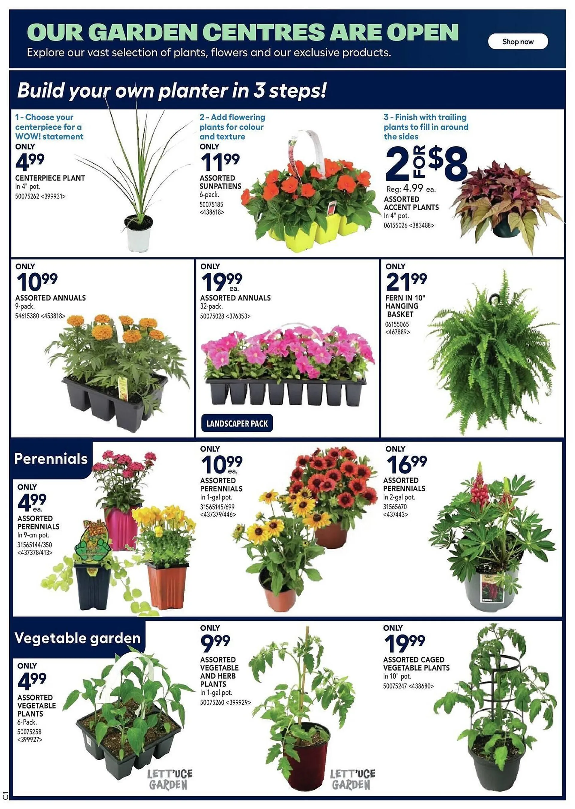 RONA flyer from May 15 to May 29 2025 - flyer page 6