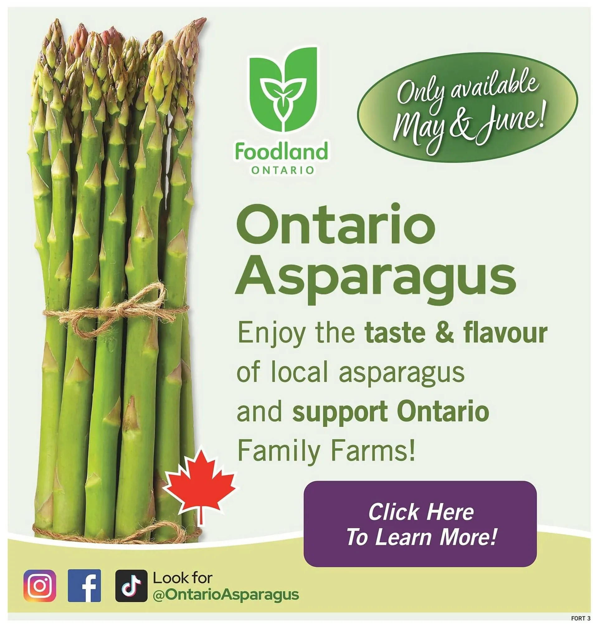Fortinos flyer from May 22 to June 4 2025 - flyer page 4