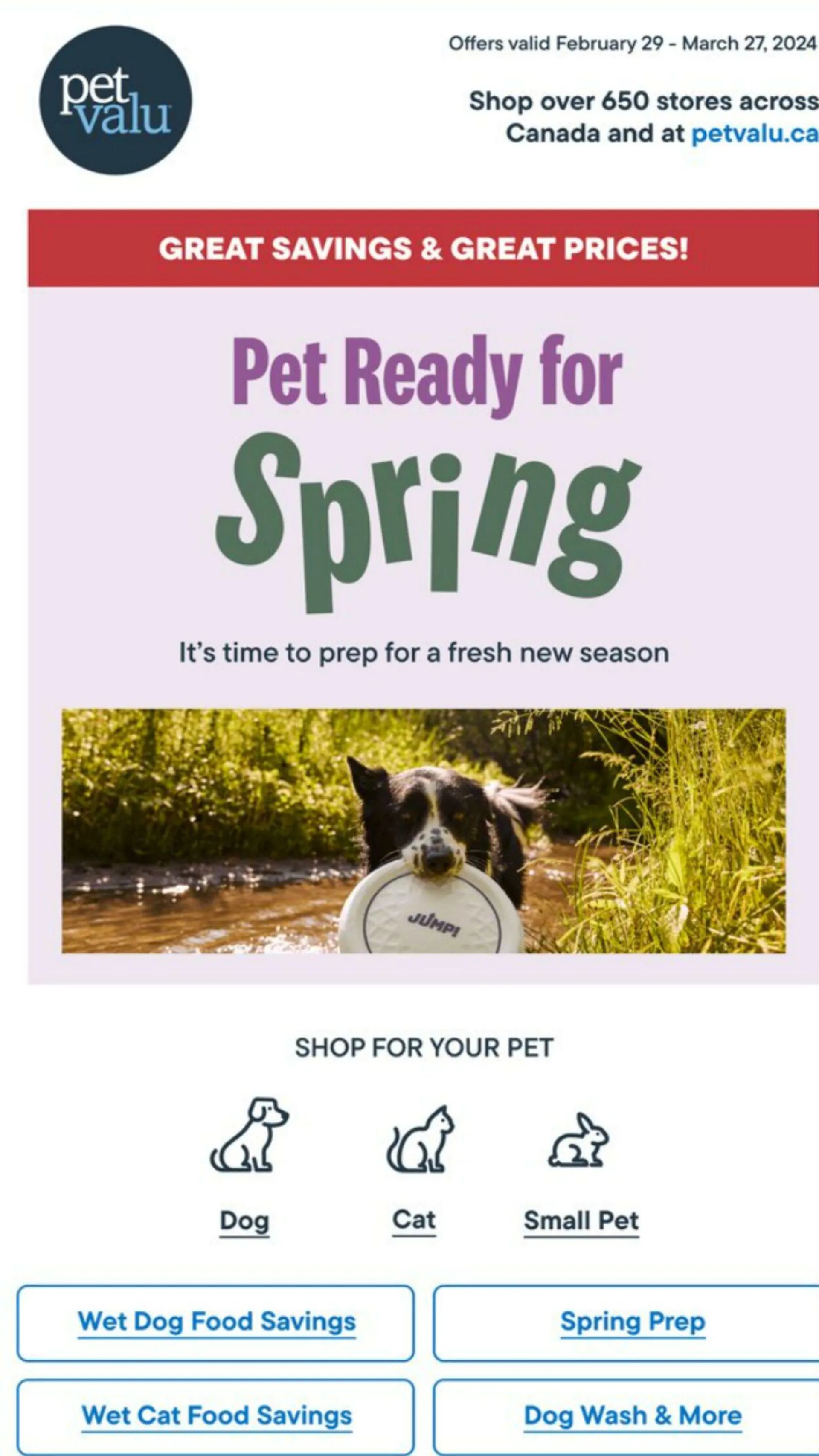Pet Valu Current flyer from February 29 to March 27 2024 - flyer page 