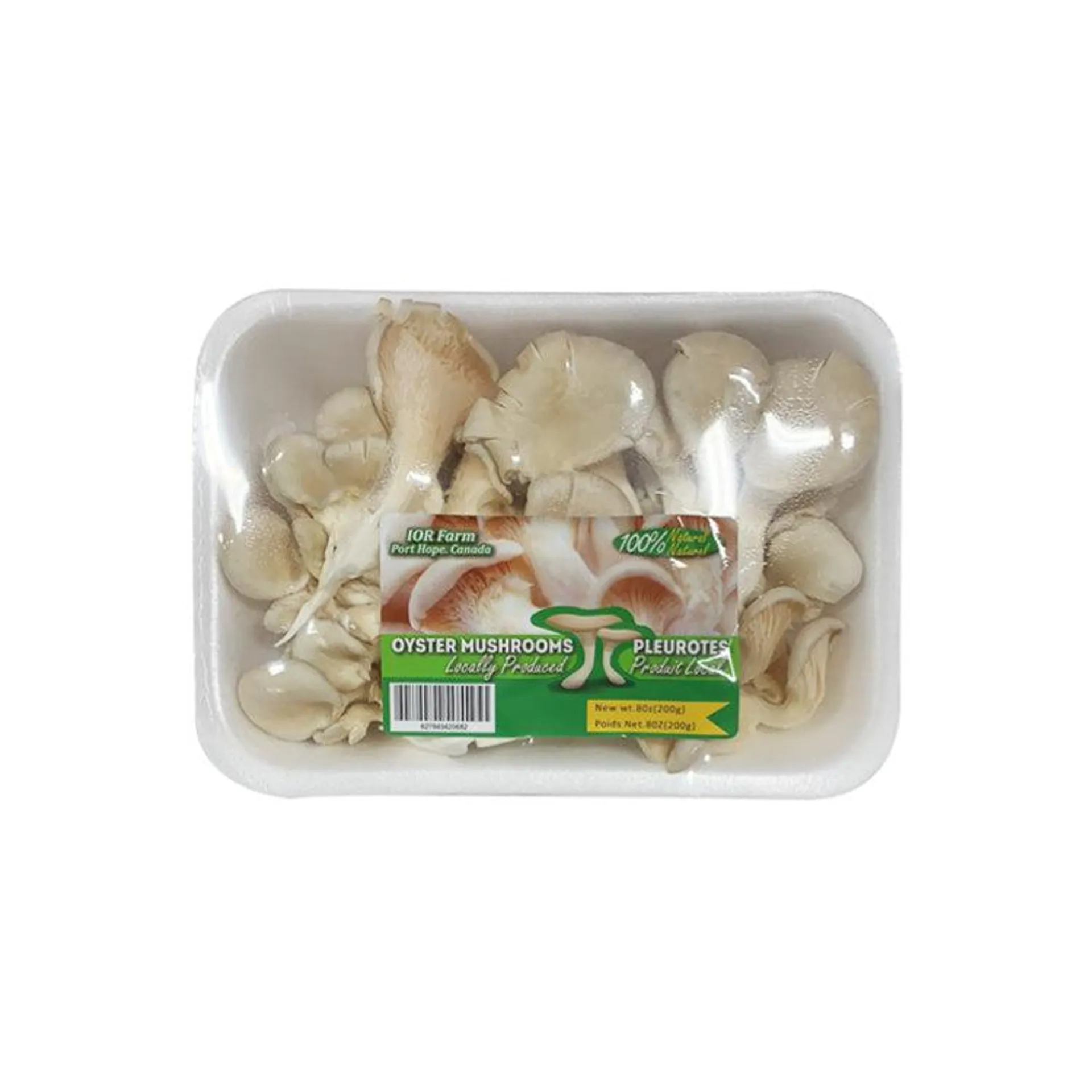 Fresh Oyster Mushroom 200g