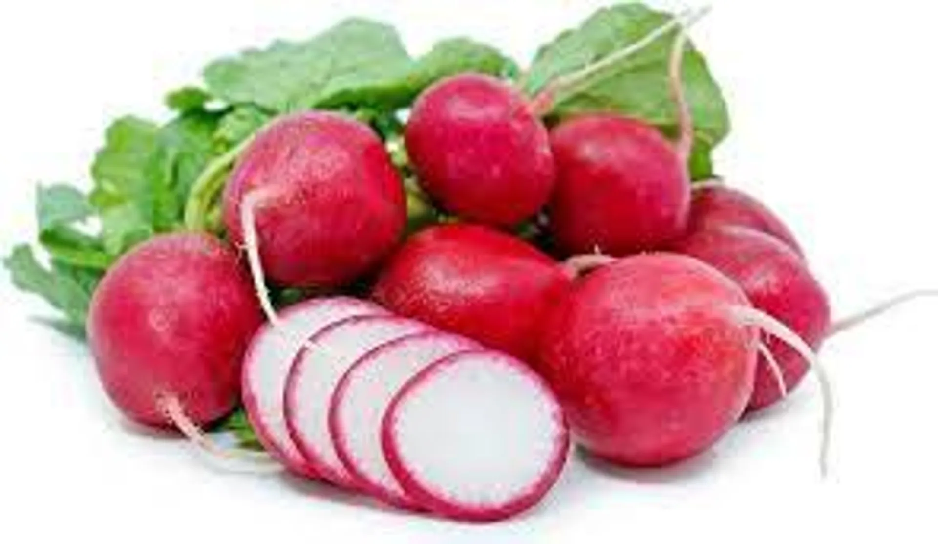 Fresh Radish