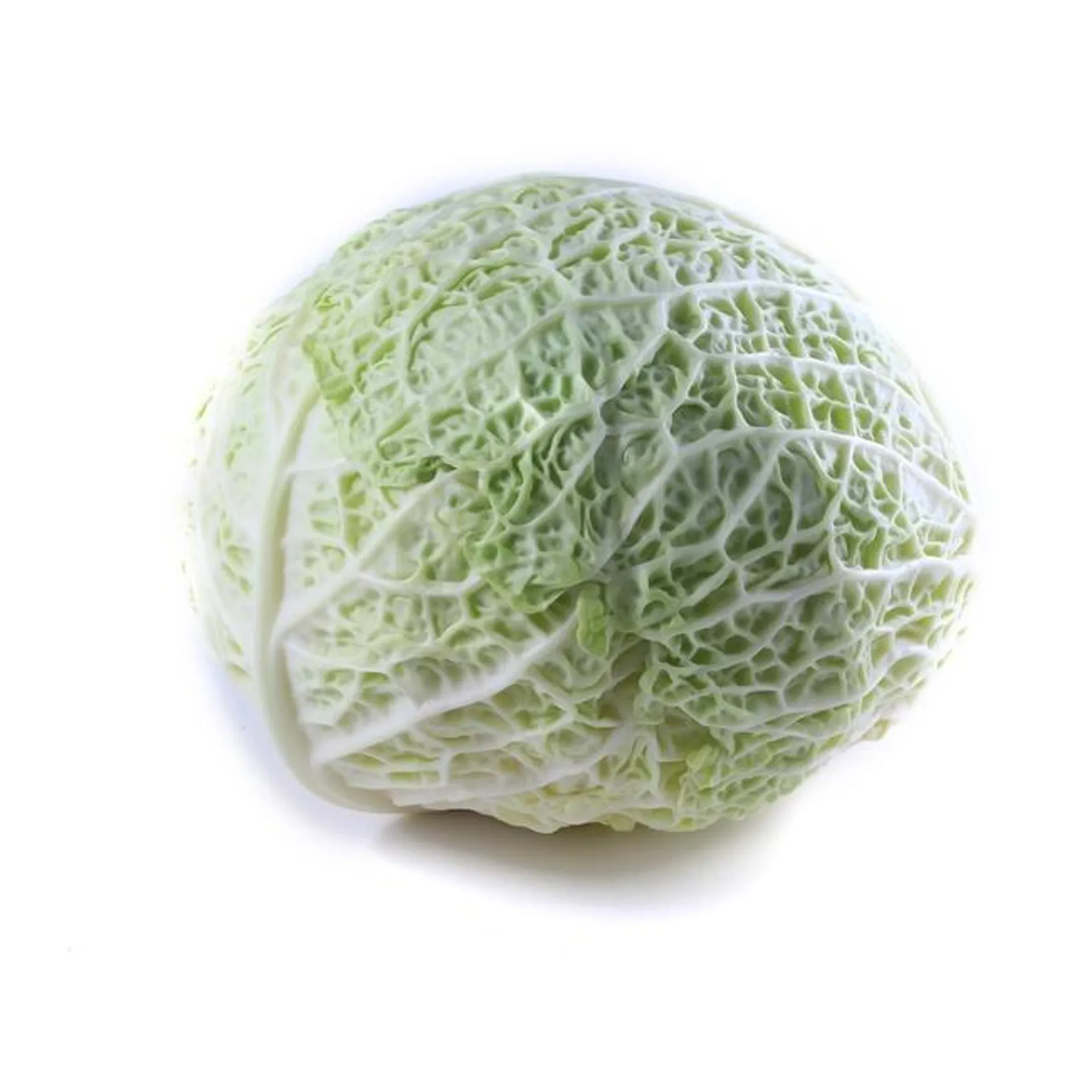 Cabbage Savoy