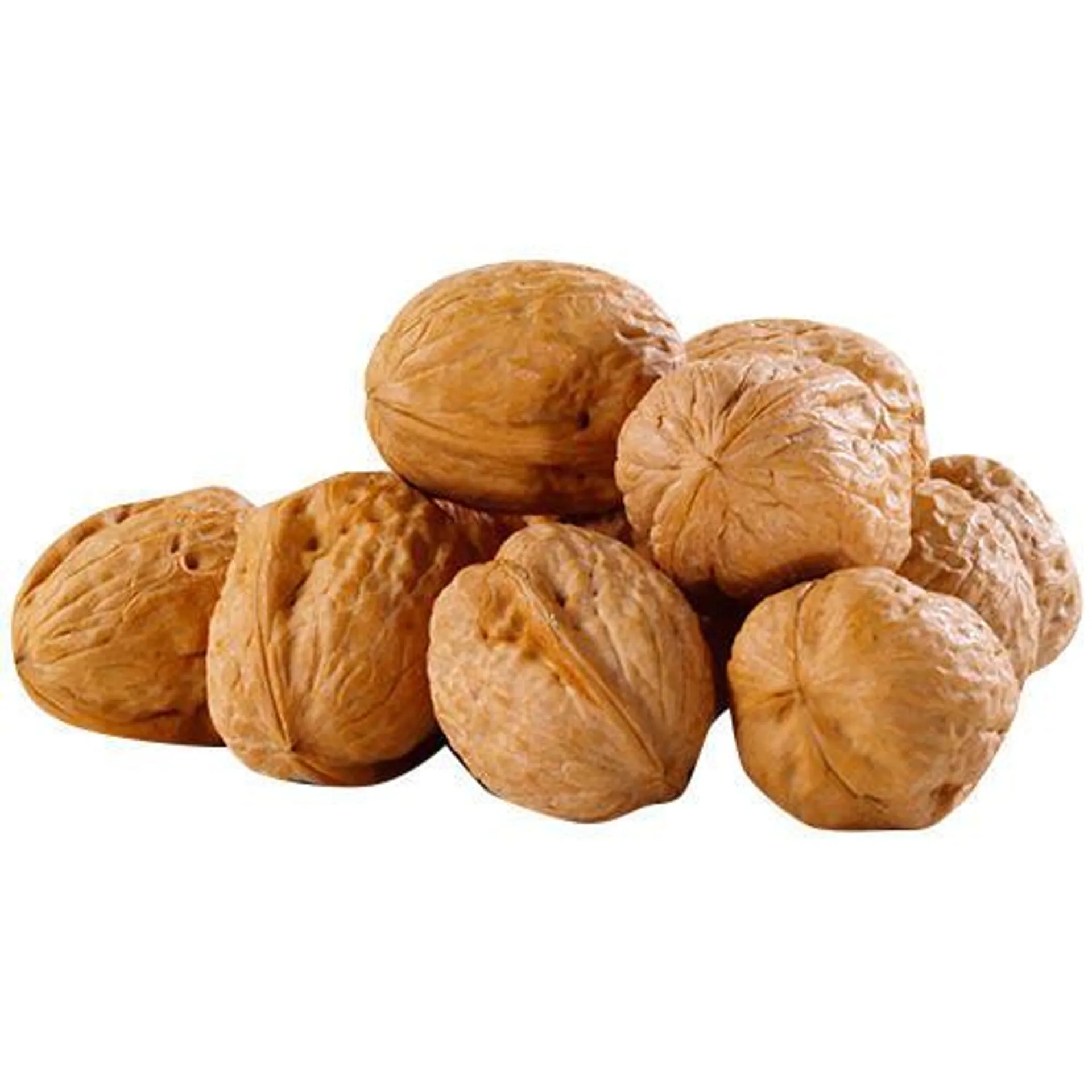 Walnut (approx 1.4lb) - 1bag