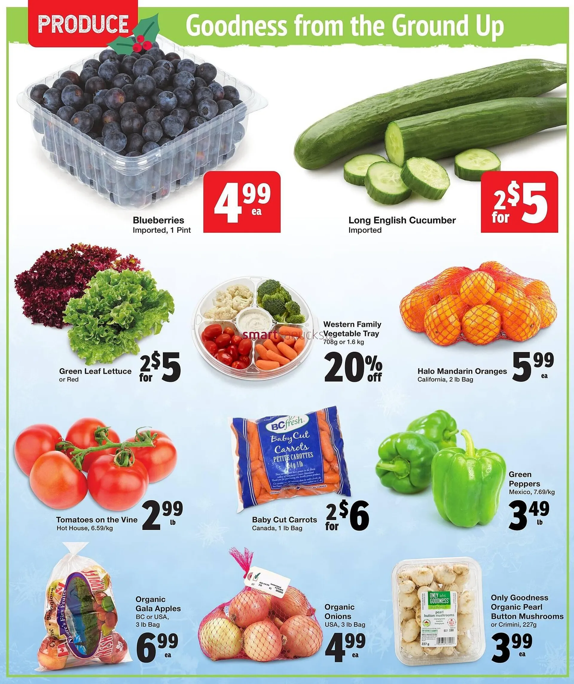 Quality Foods flyer from December 2 to December 24 2024 - flyer page 2