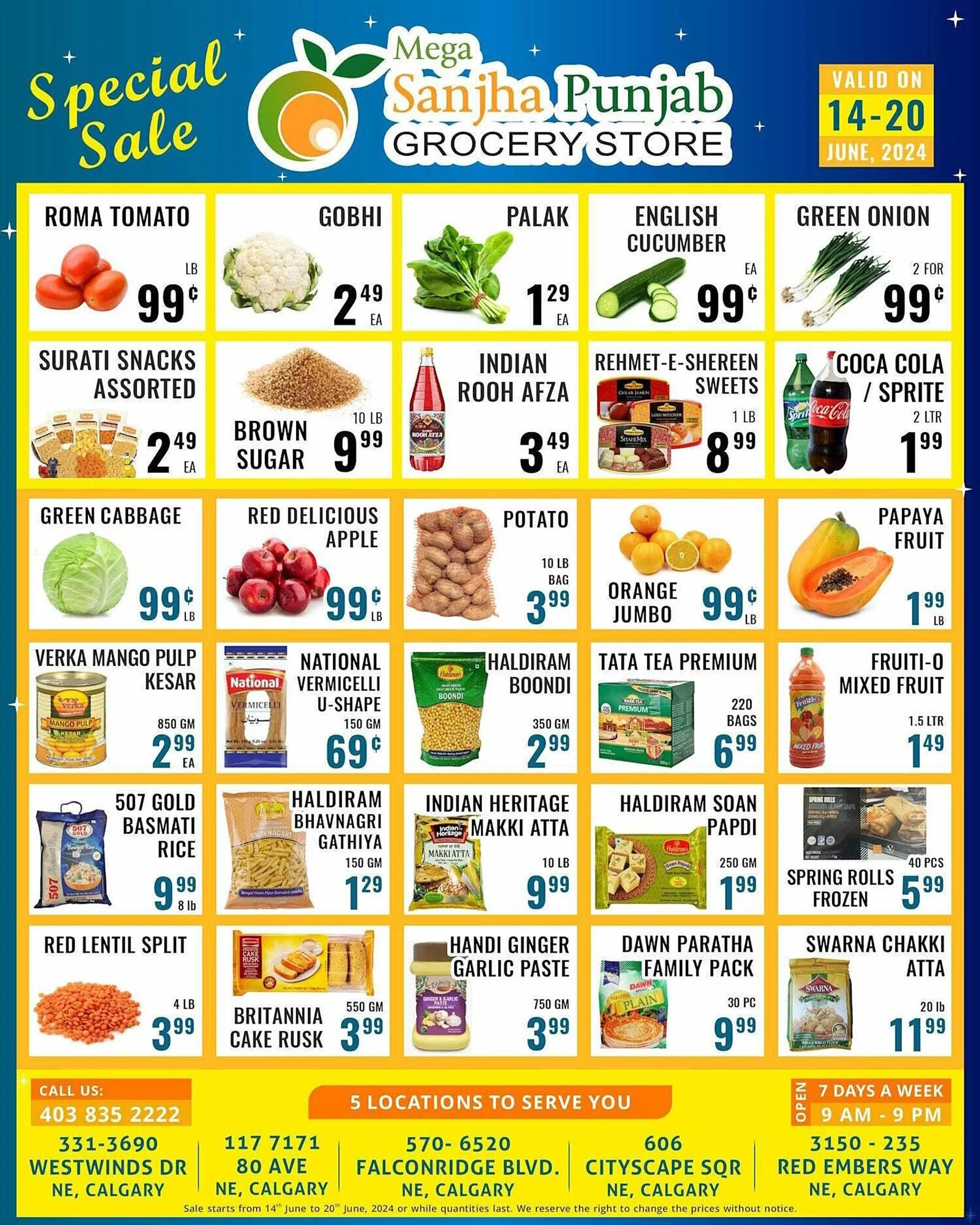 Mega Sanjha Punjab Grocery Store flyer - 1