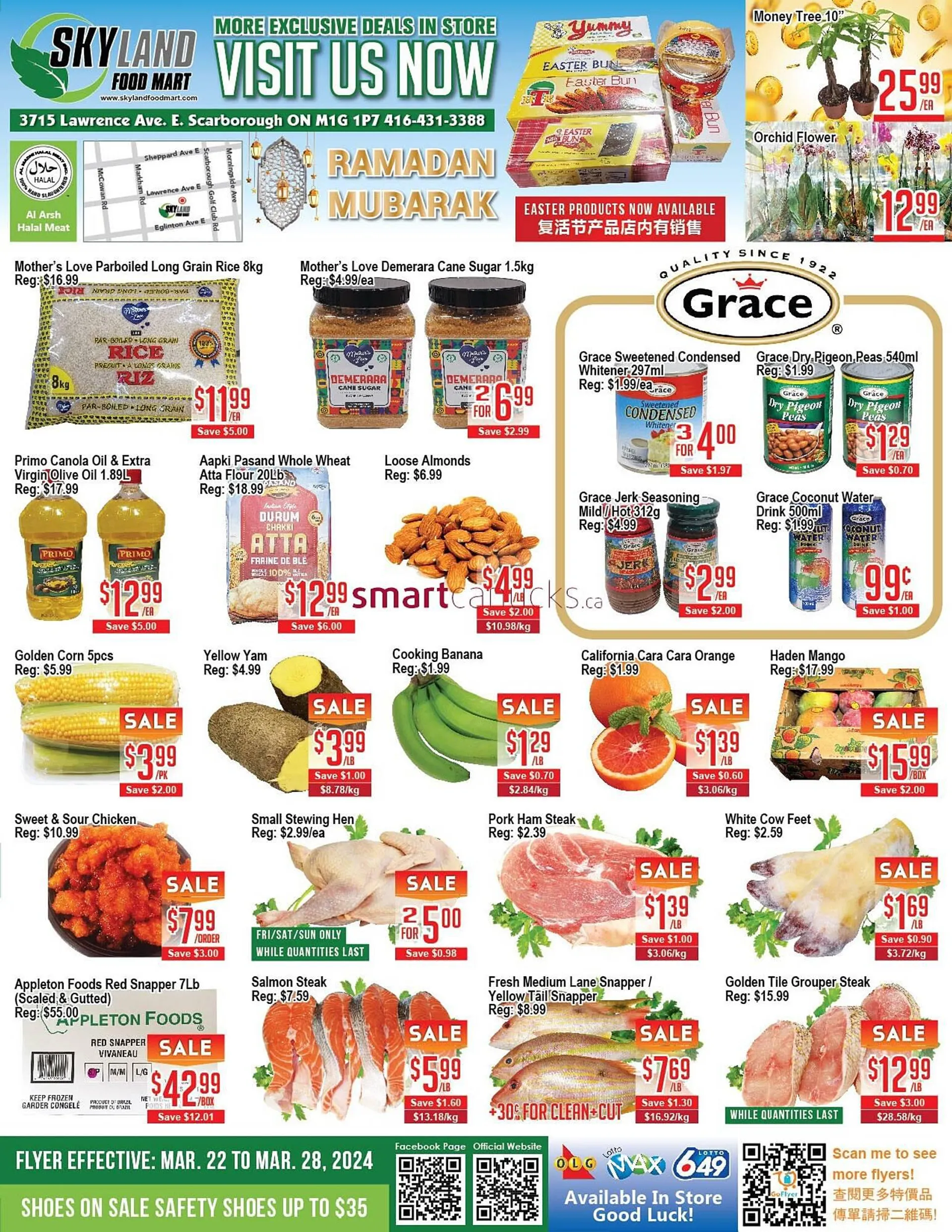 Skyland Foodmart flyer from March 22 to March 28 2024 - flyer page 1