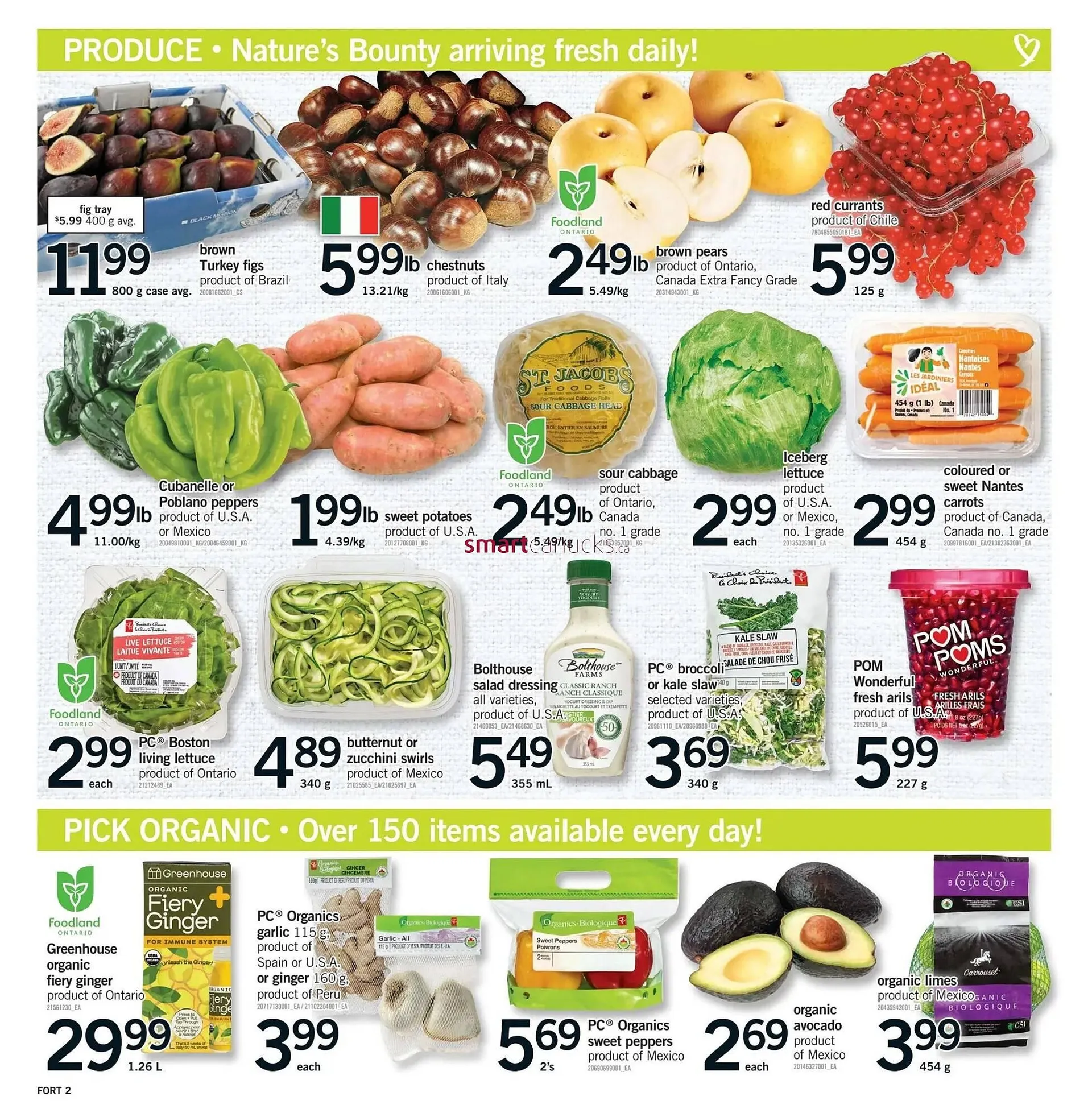 Fortinos flyer from January 9 to January 15 2025 - flyer page 3