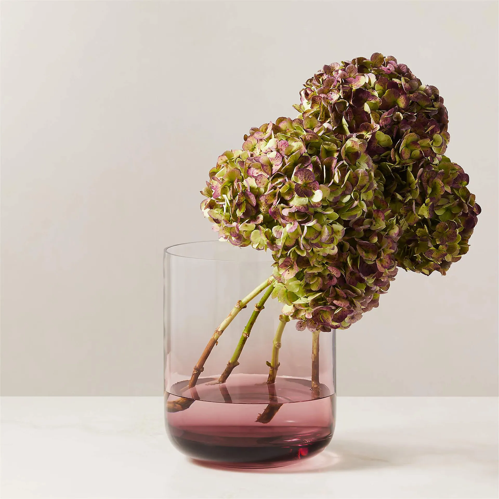 Regine Aubergine Purple Tall Glass Vase by goop