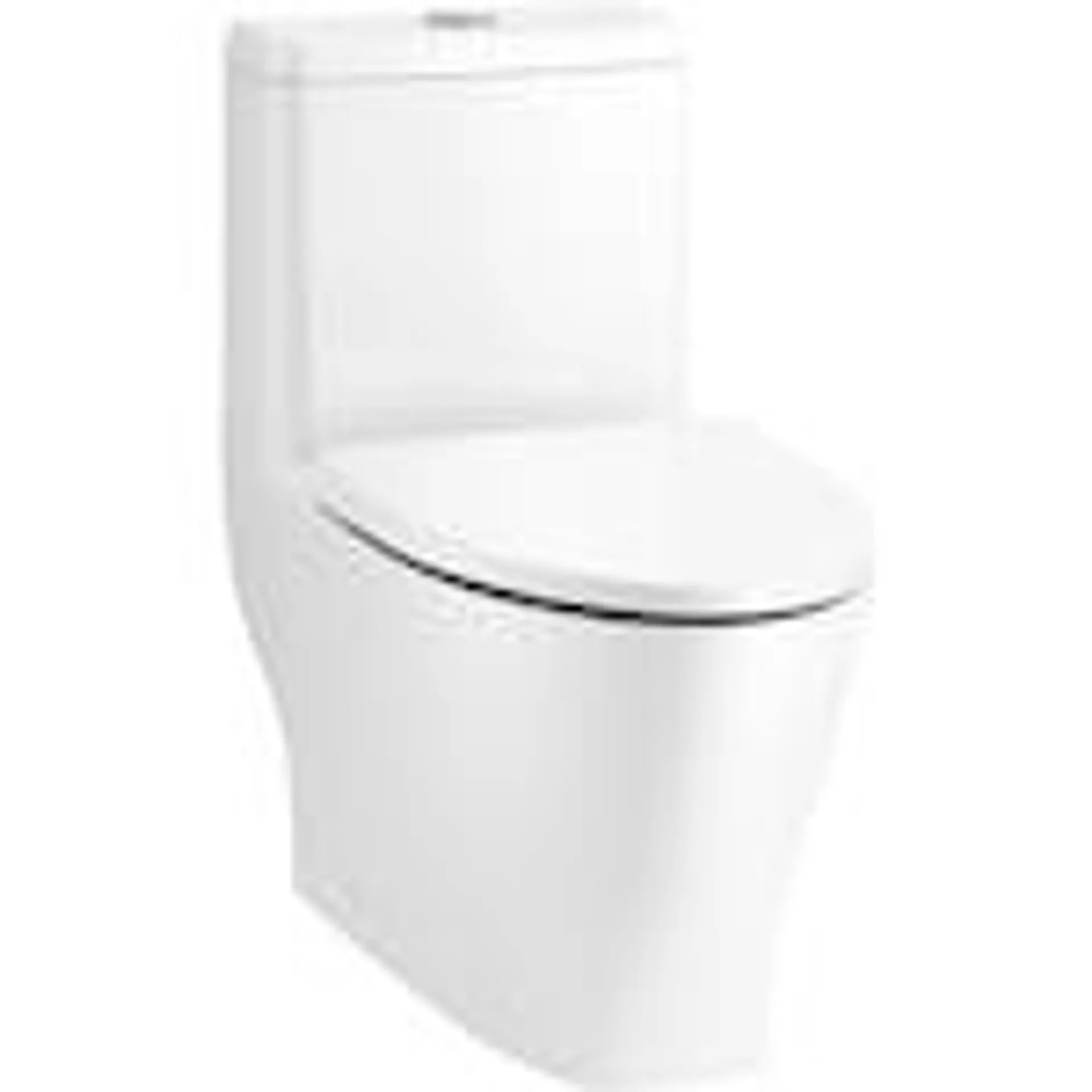 Reach 1-Piece 4.8 LPF Dual Flush Elongated Toilet in White