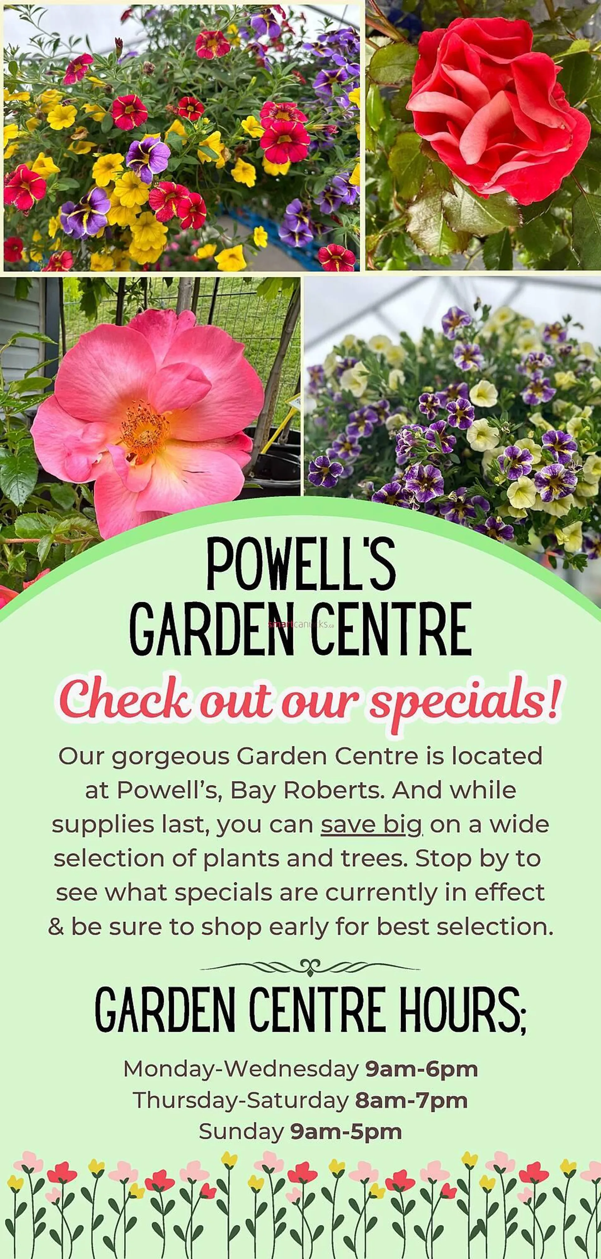 Powells Supermarket flyer - 5