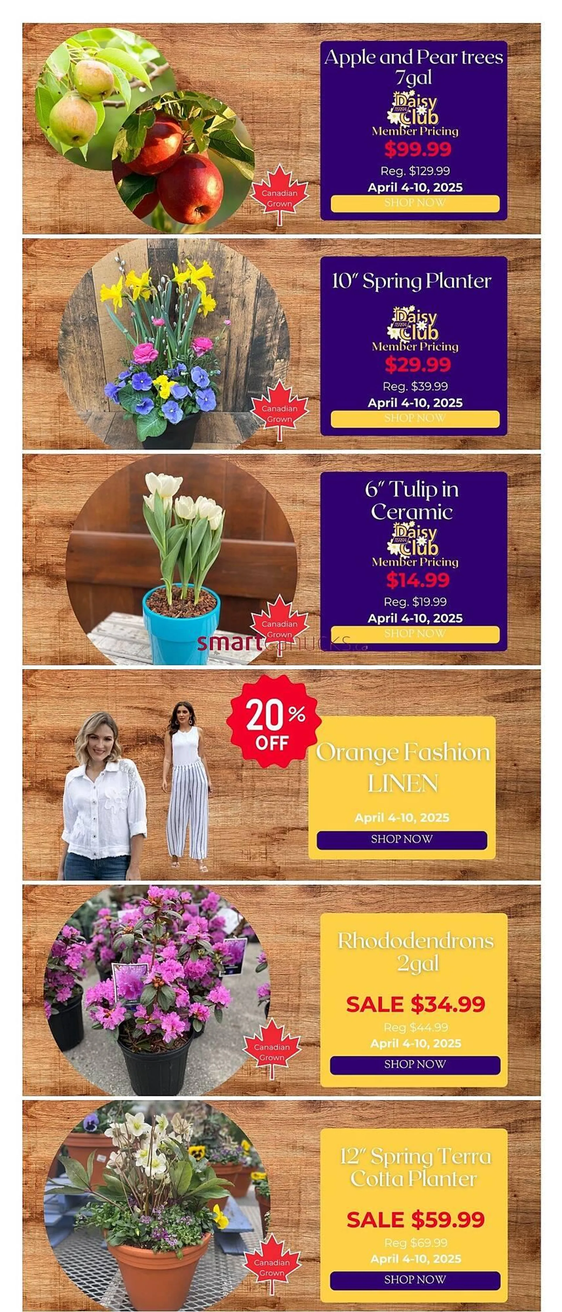 Terra Green Houses flyer - 1