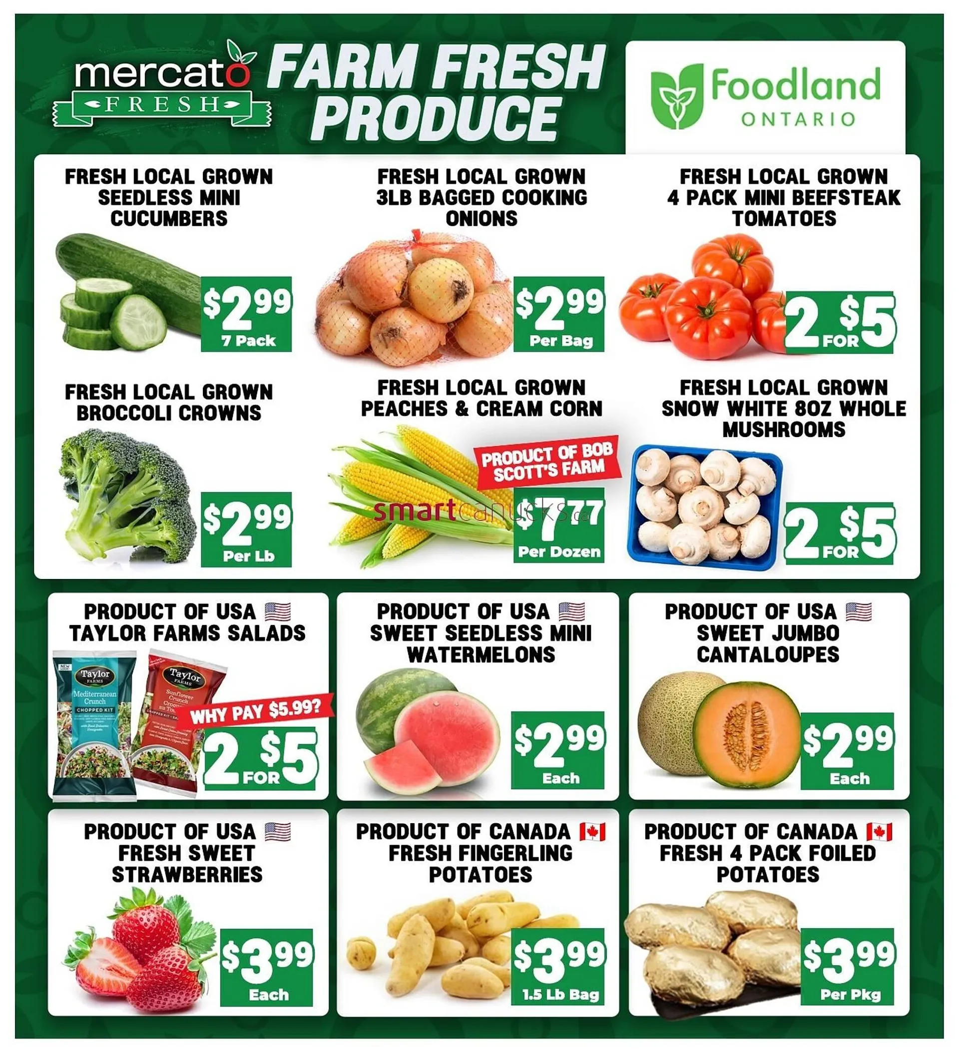 Mercato Fresh flyer from August 15 to August 21 2024 - flyer page 2