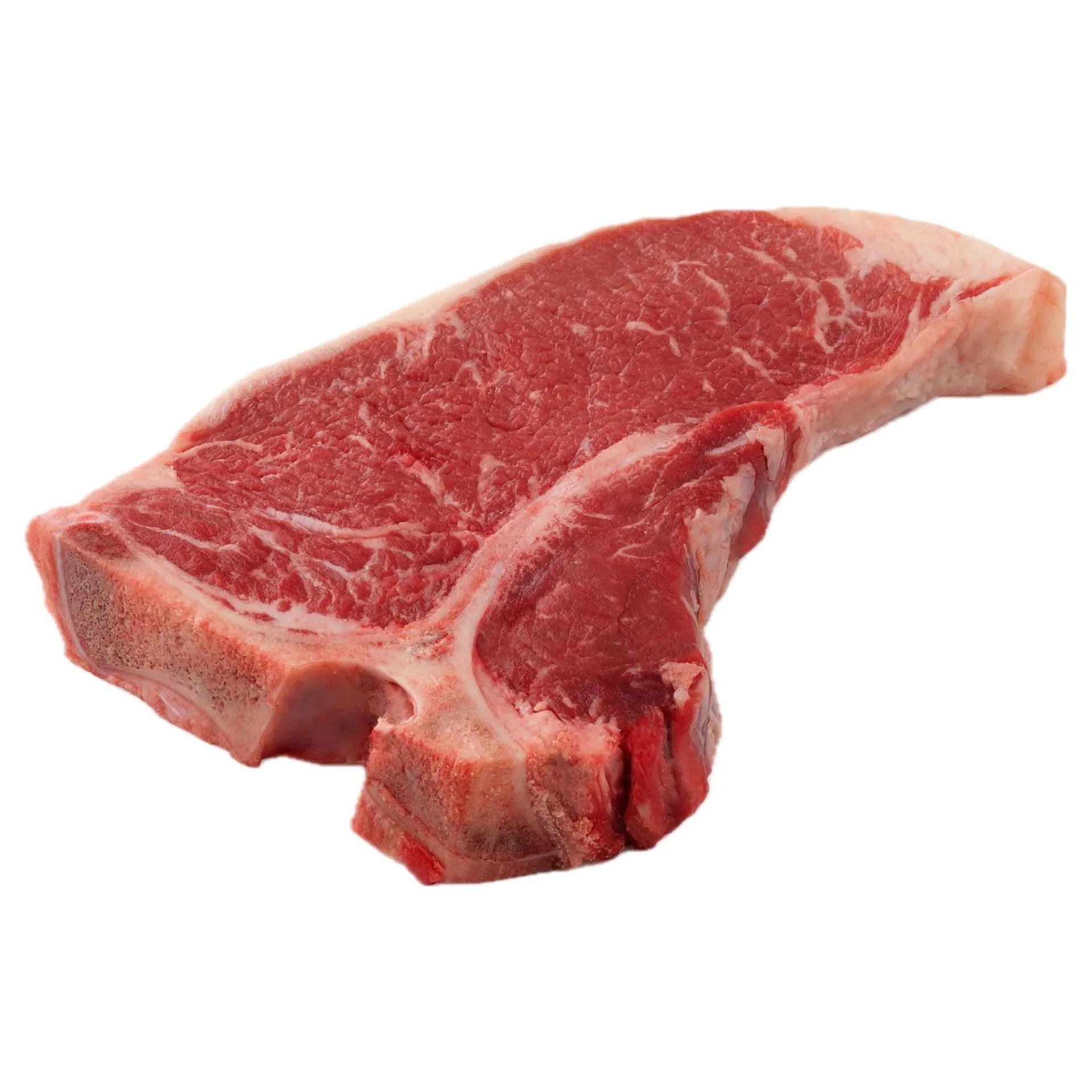 Fresh T-Bone Steak