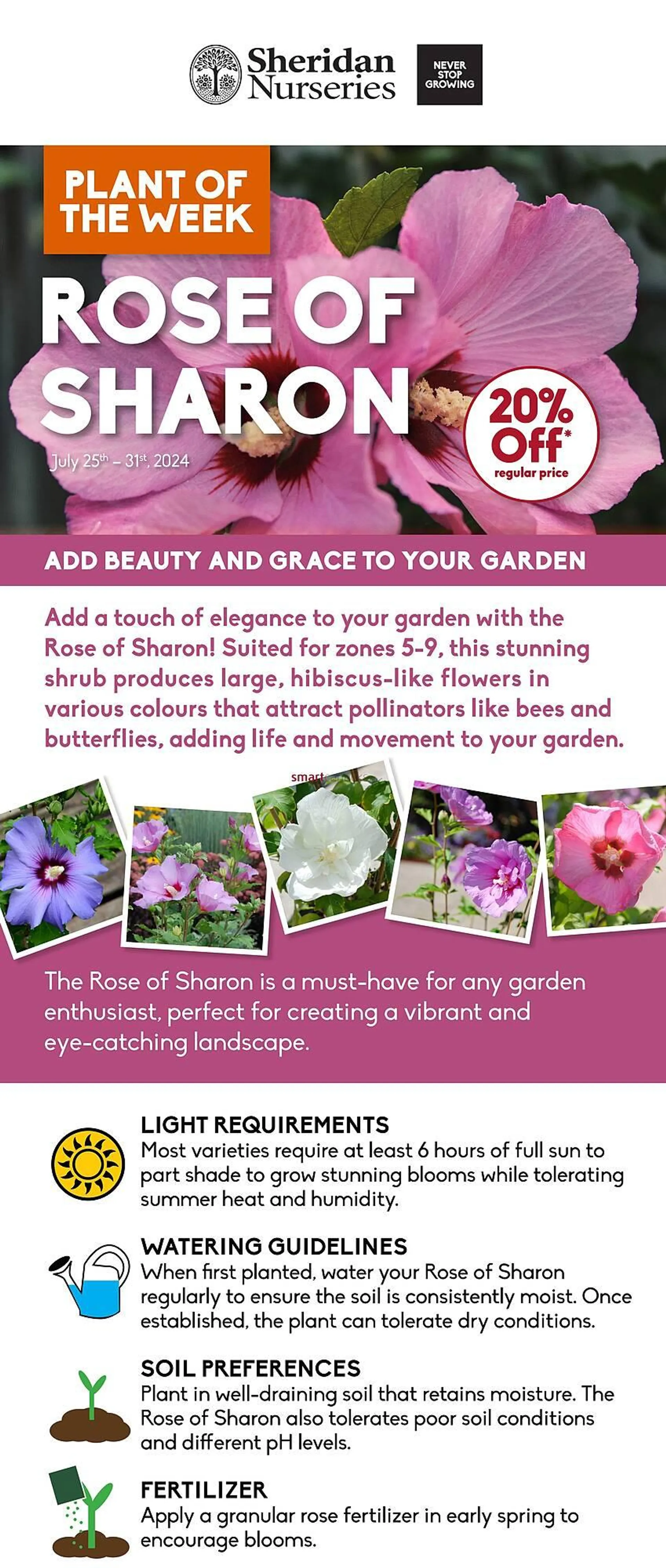 Sheridan Nurseries flyer from July 25 to July 31 2024 - flyer page 1