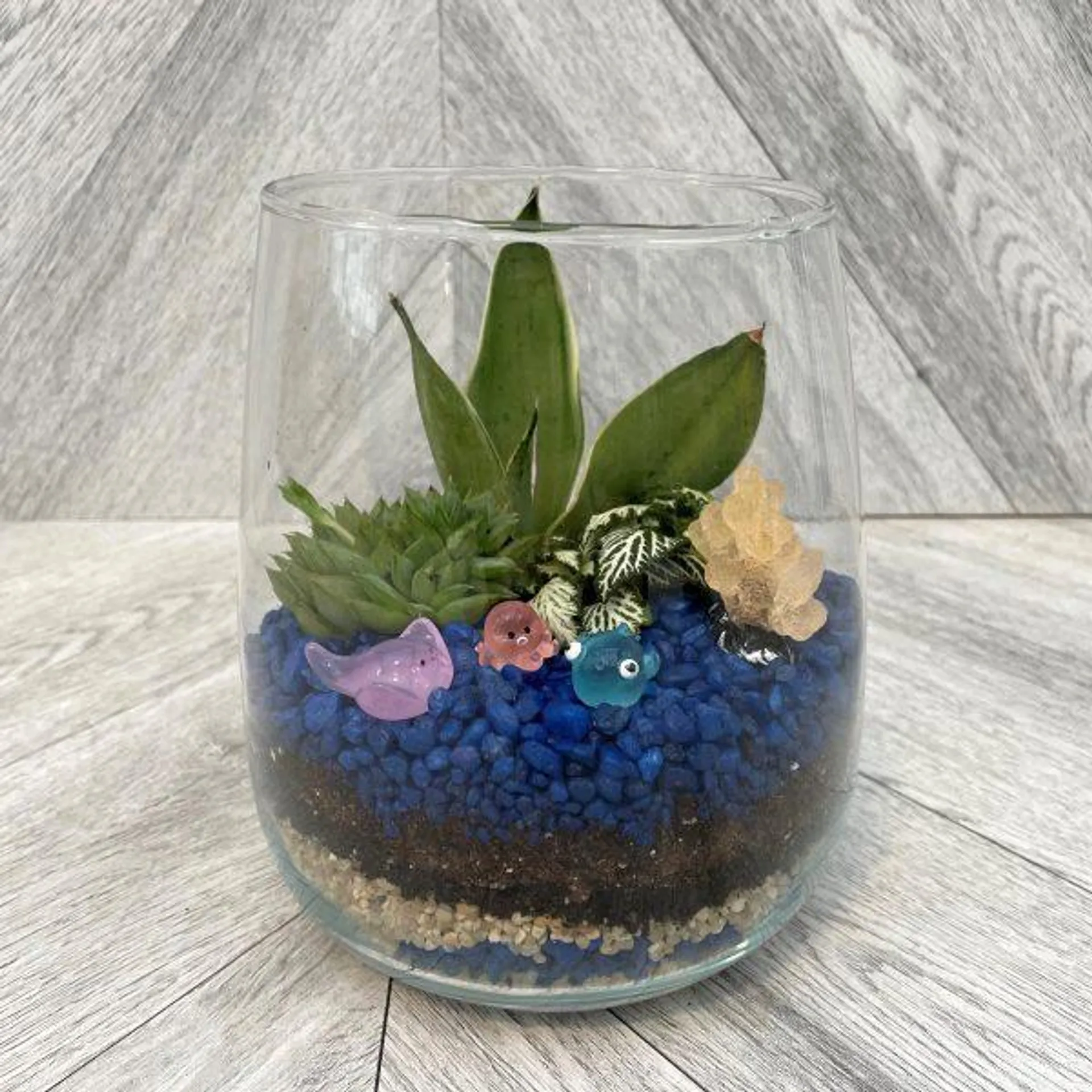 Twilight Tide Terrarium