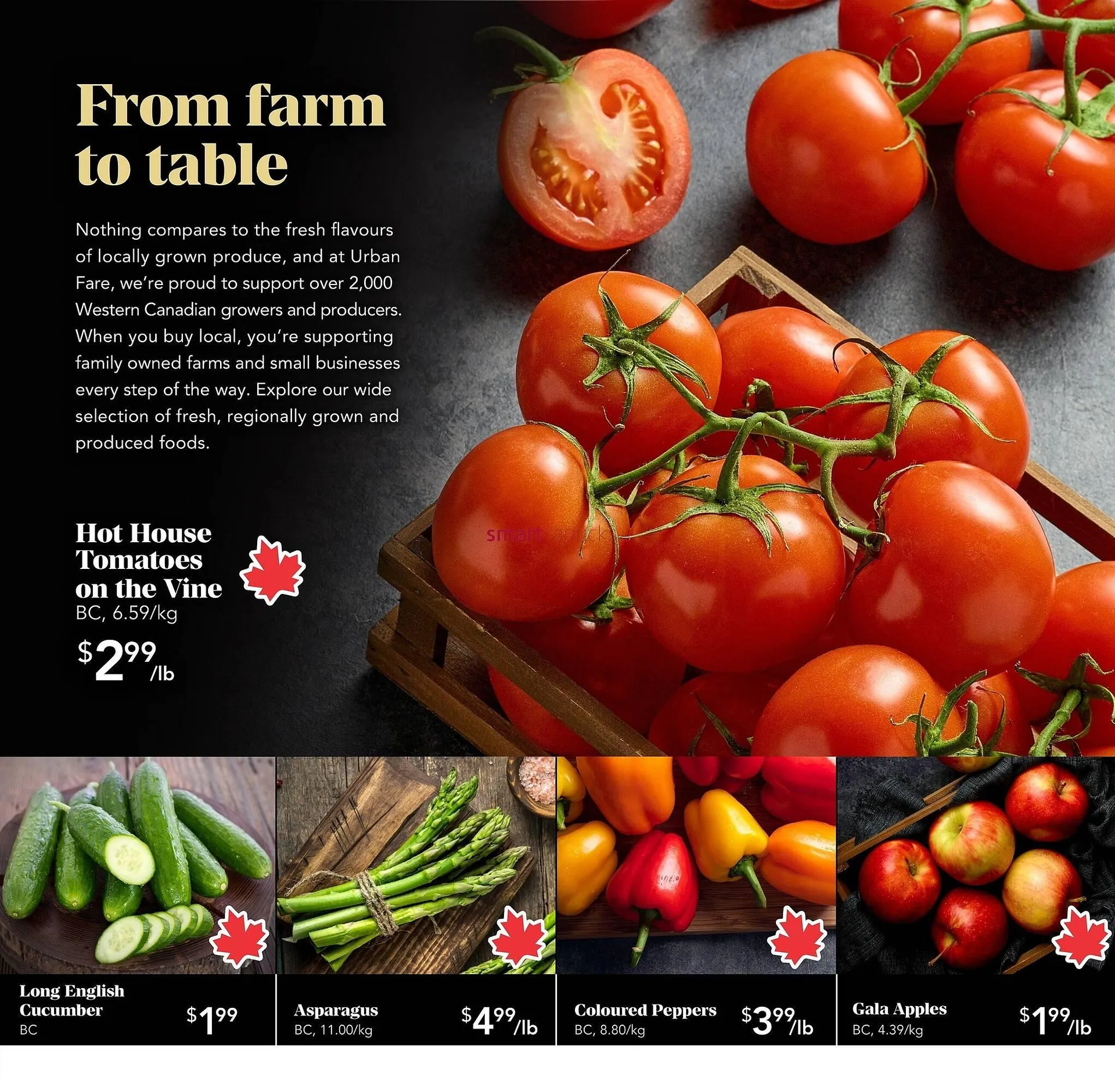 Urban Fare flyer from May 22 to May 28 2025 - flyer page 9