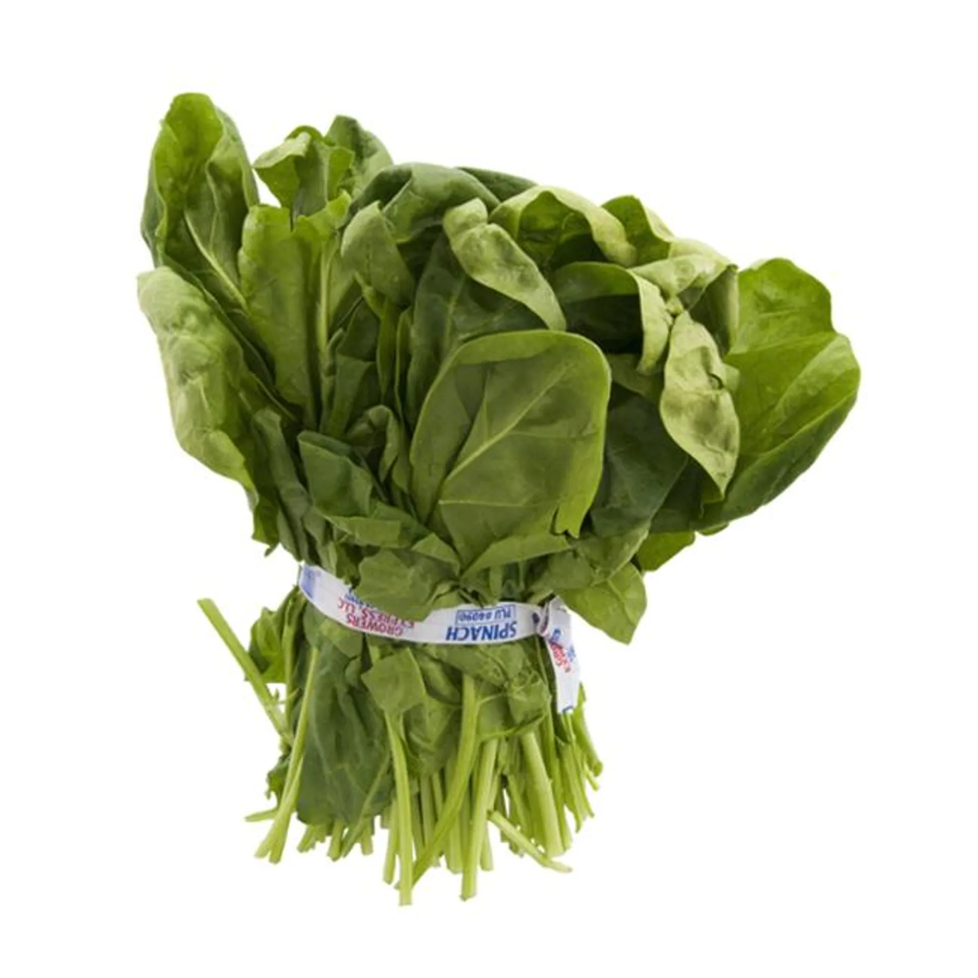 Bunched Spinach