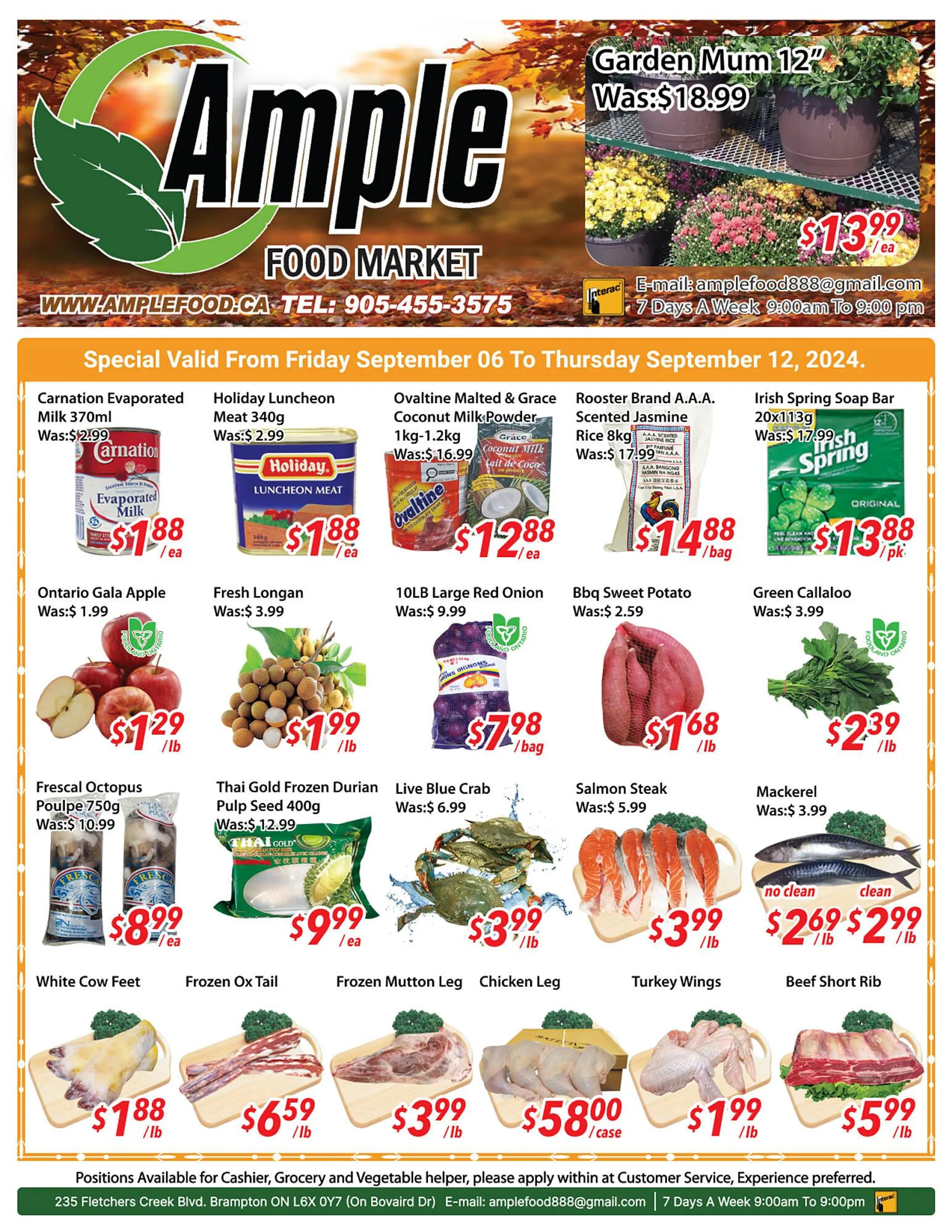 Ample Food Market flyer - 1