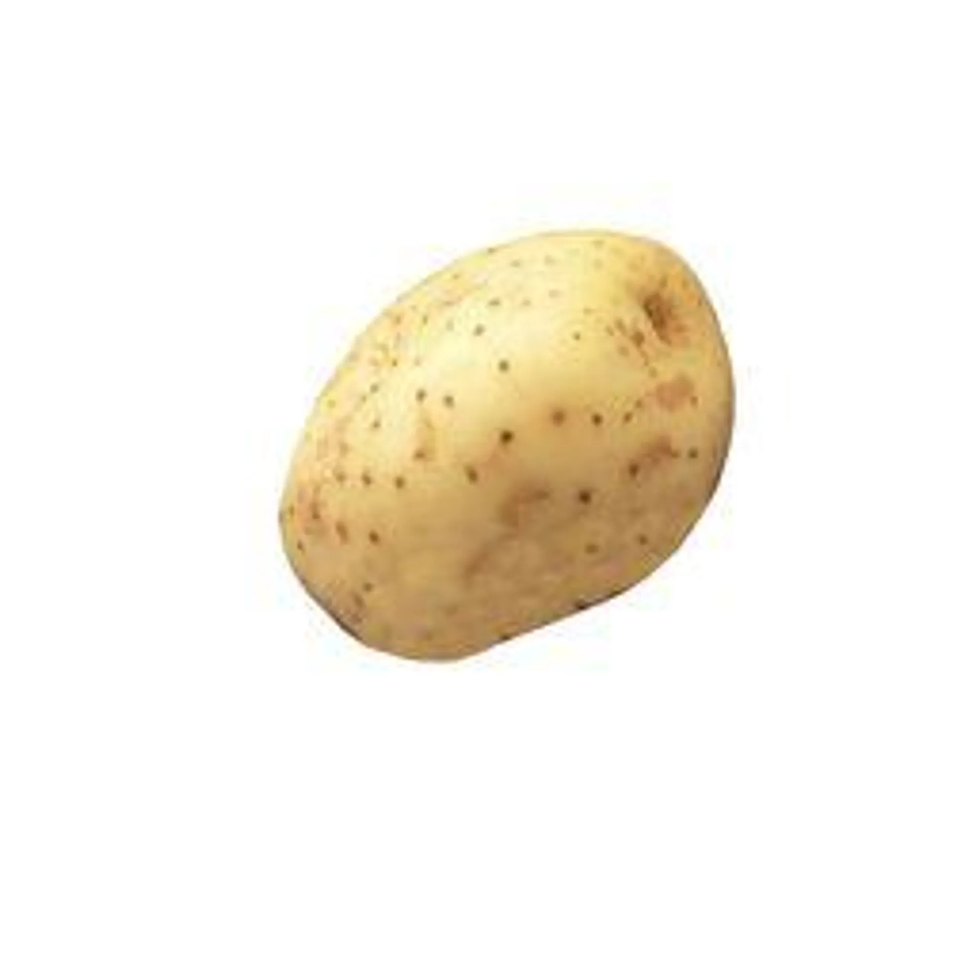 White Potato