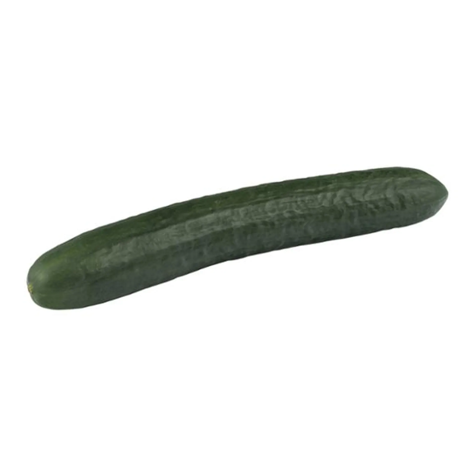 Cucumber English Long - Organic