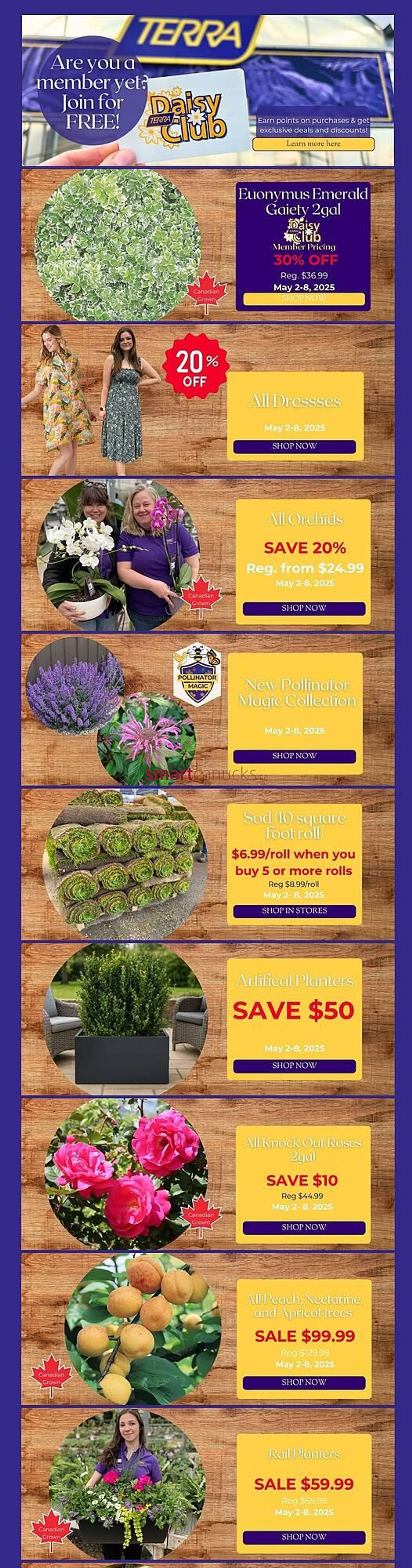 Terra Green Houses flyer - 1