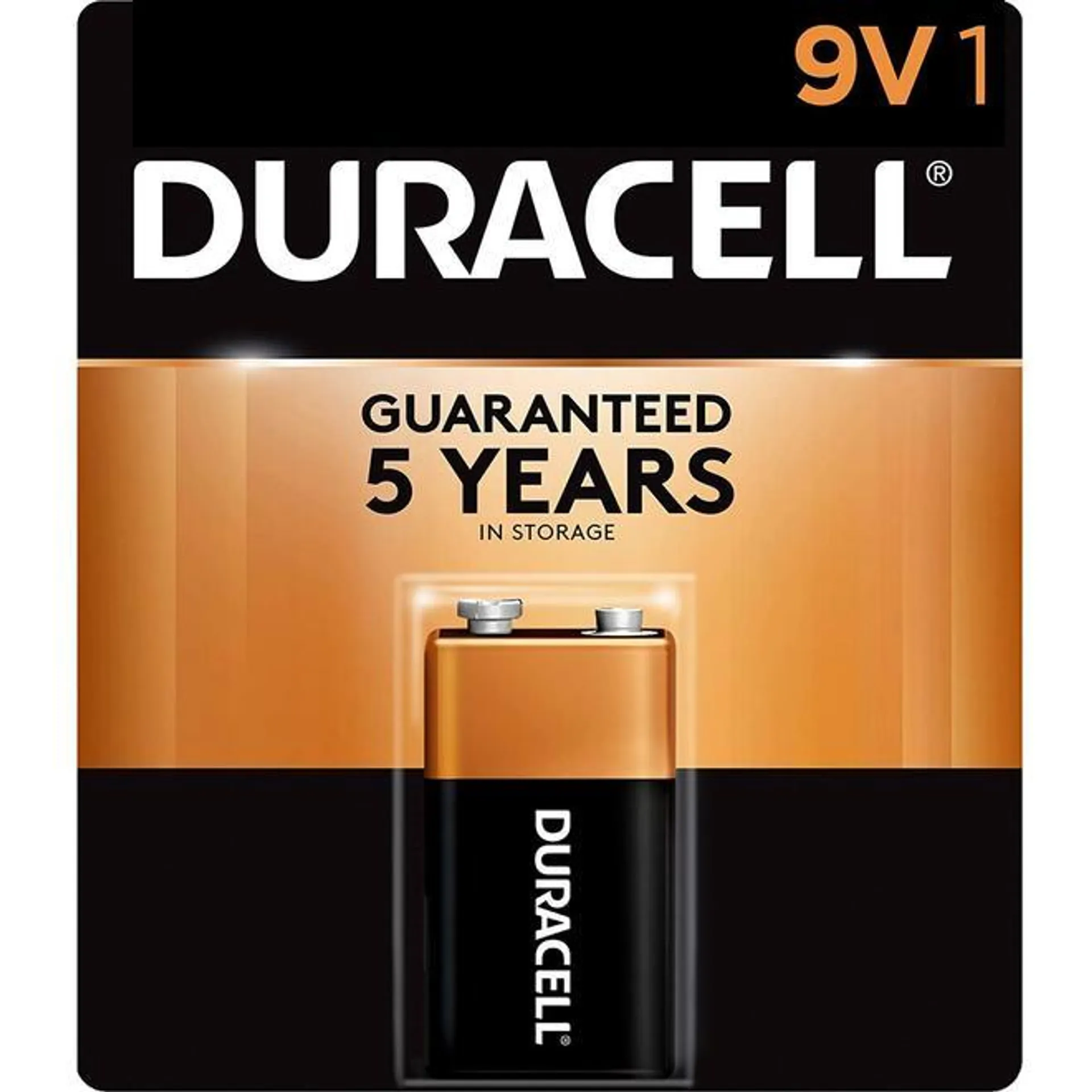 Coppertop 9V Alkaline Batteries Long Lasting All-Purpose Triple A Battery - Duracell