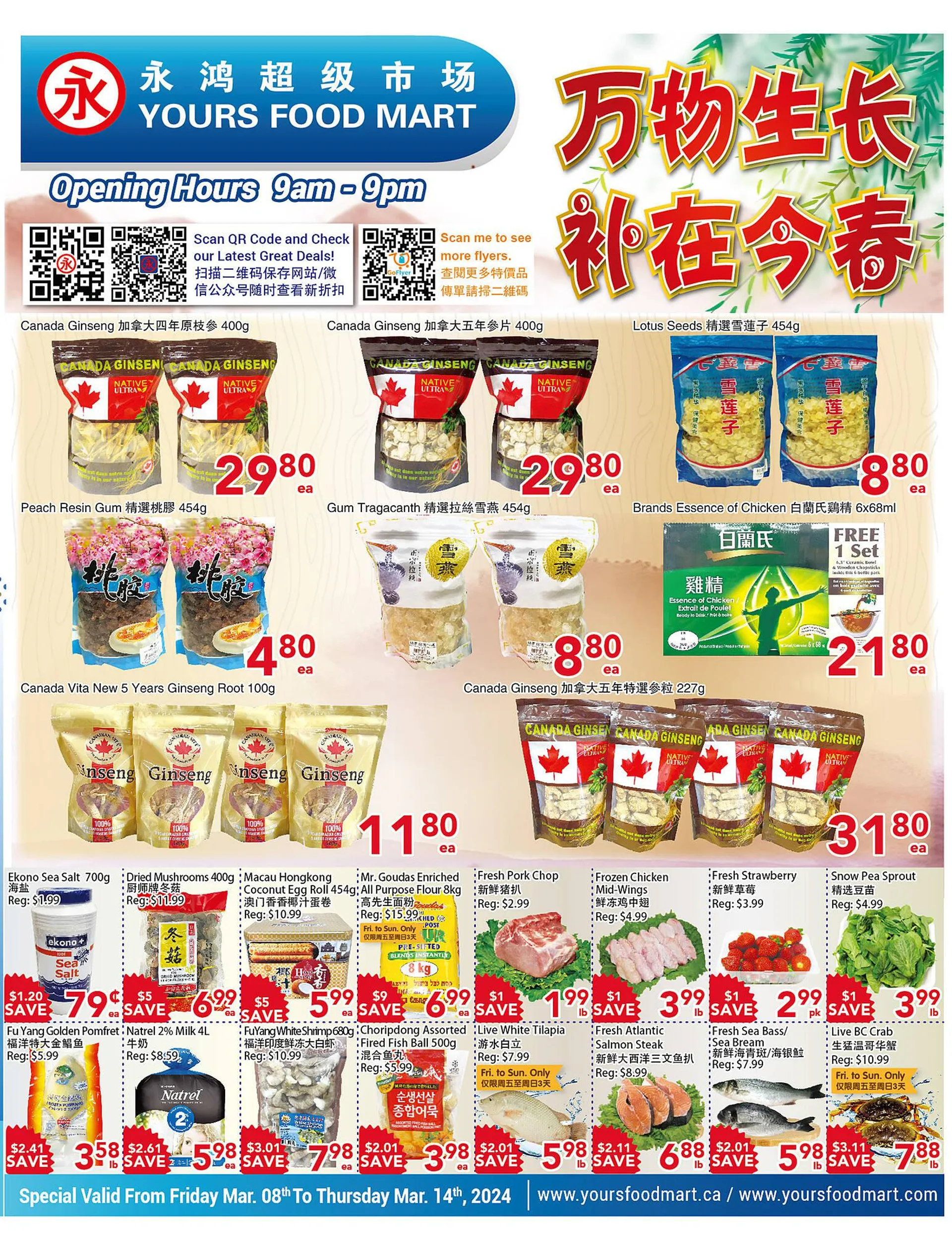 Yours Food Mart flyer from March 8 to March 14 2024 - flyer page 