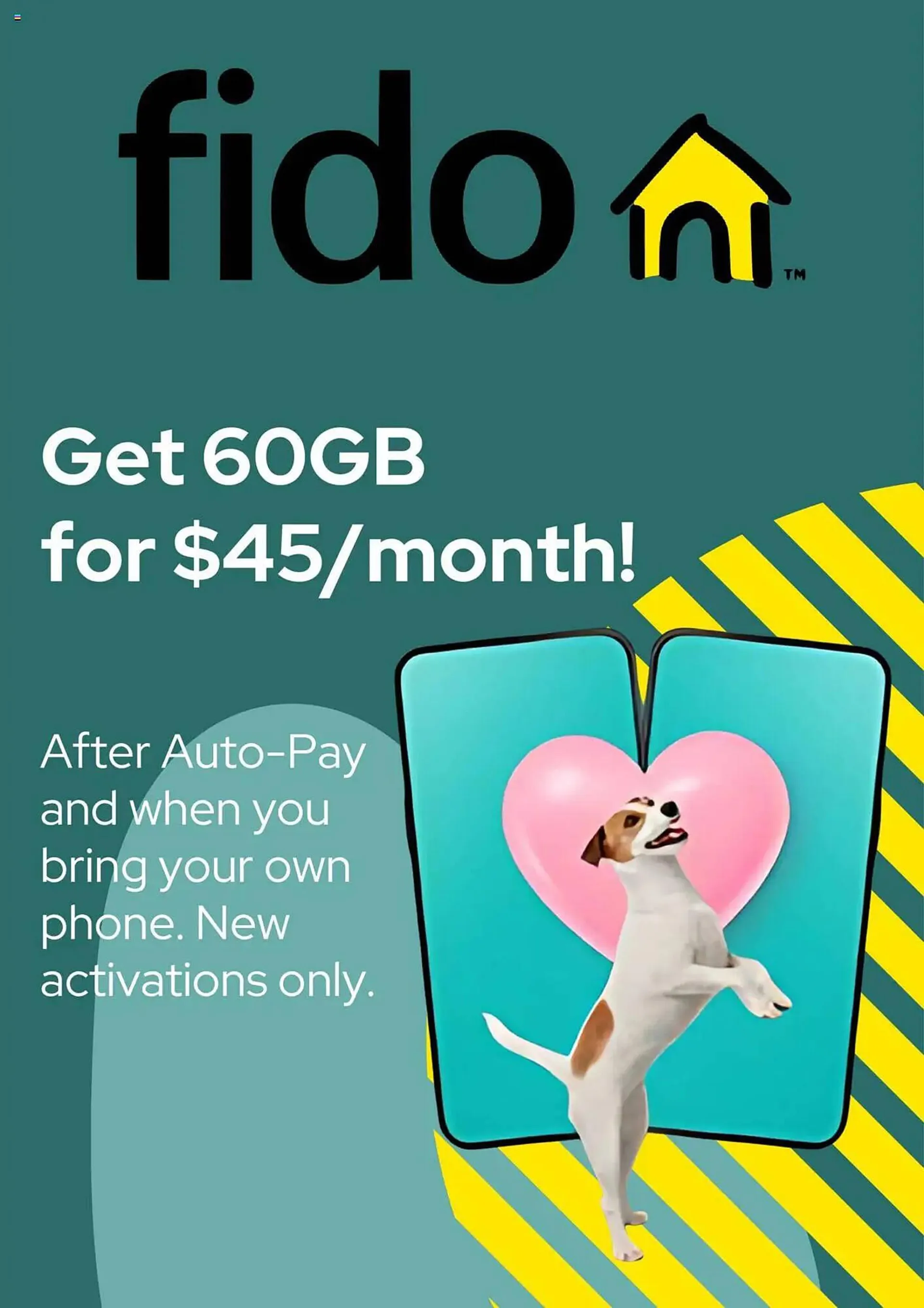 Fido flyer - 1