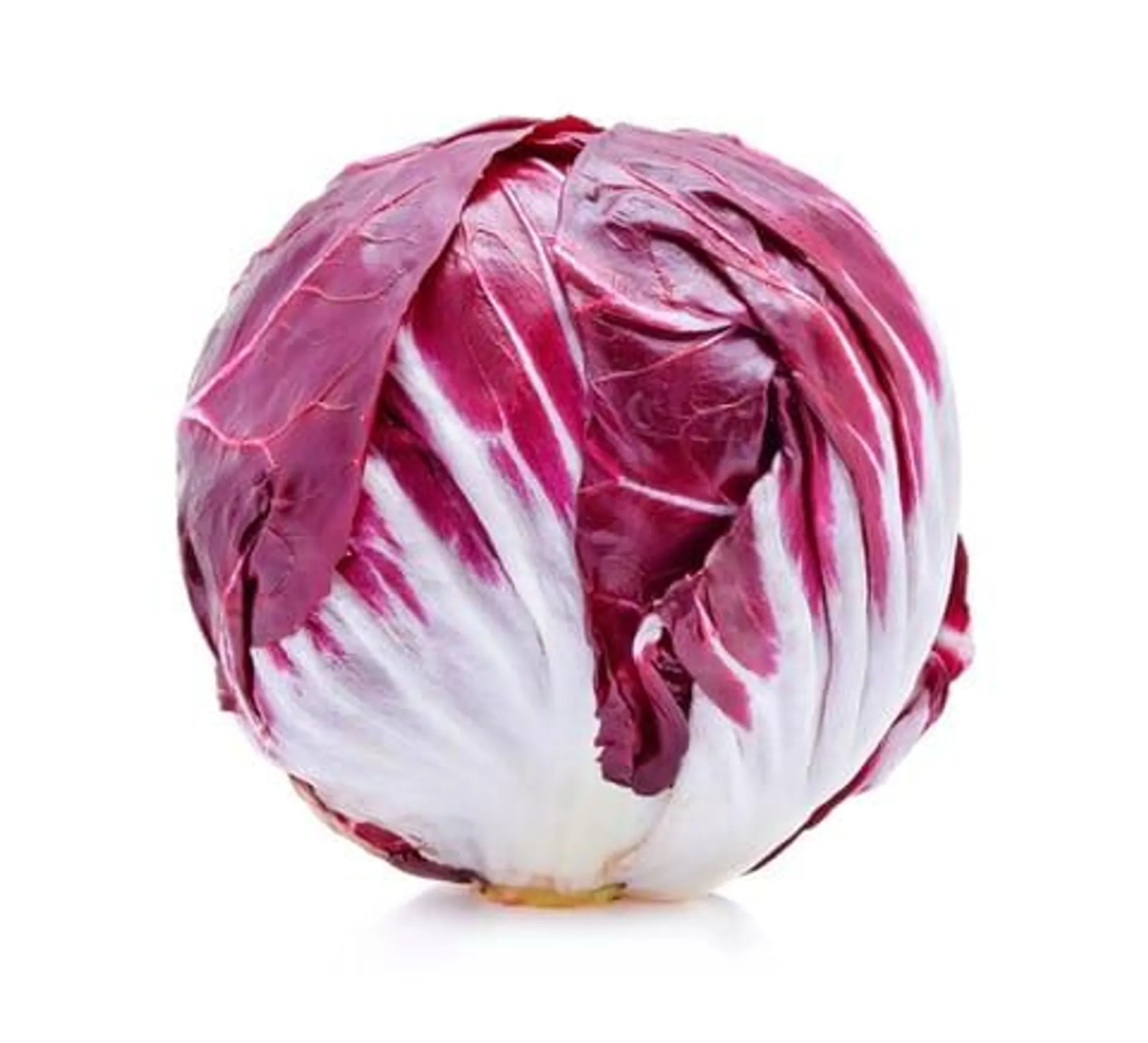 Radicchio biologique