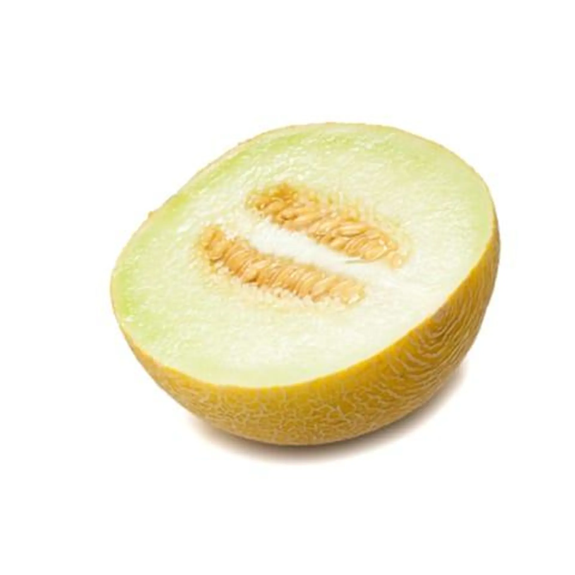 Melon Galia biologique