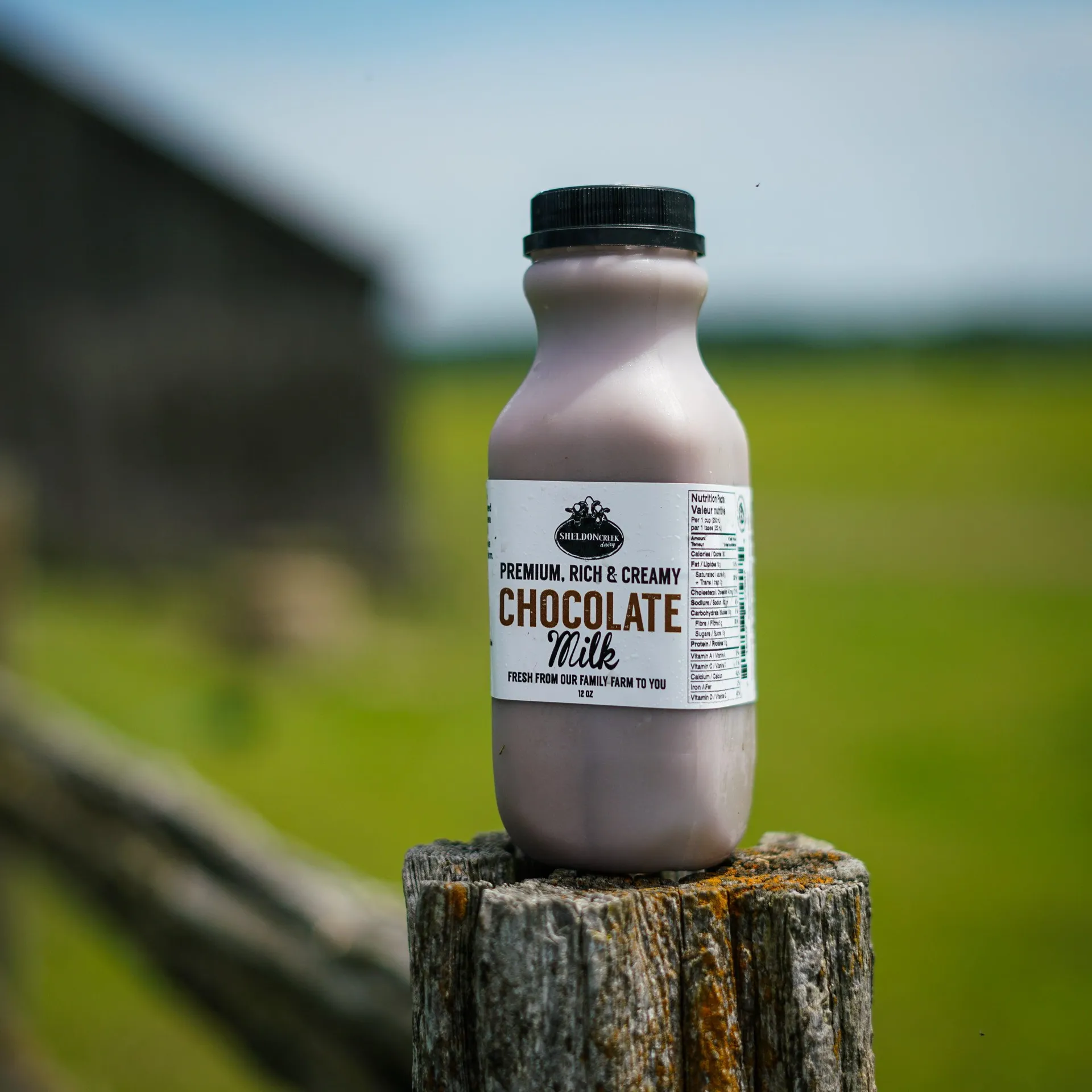 Sheldon Creek Dairy Chocolate Whole Milk - 350 ml