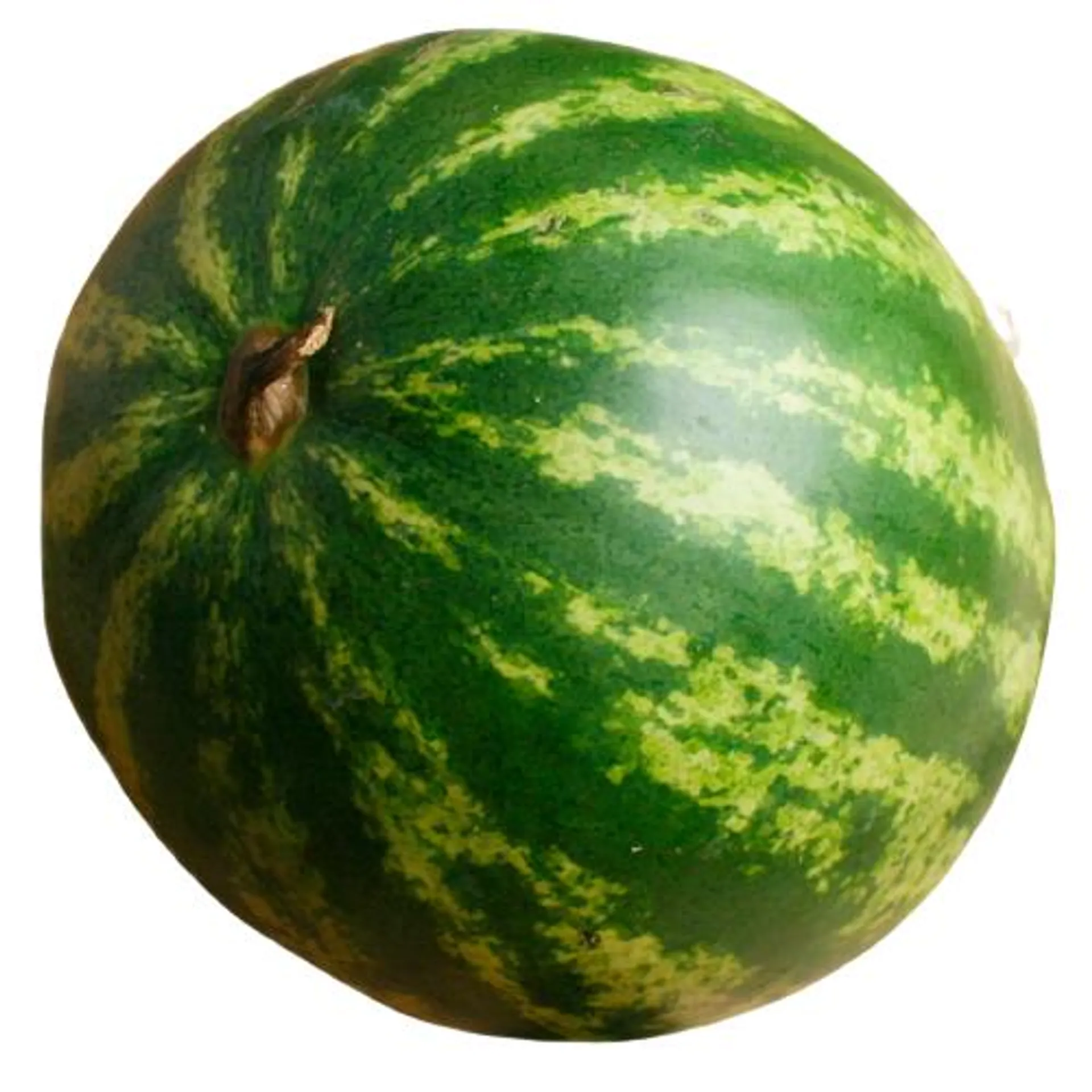 Jumbo Watermelon