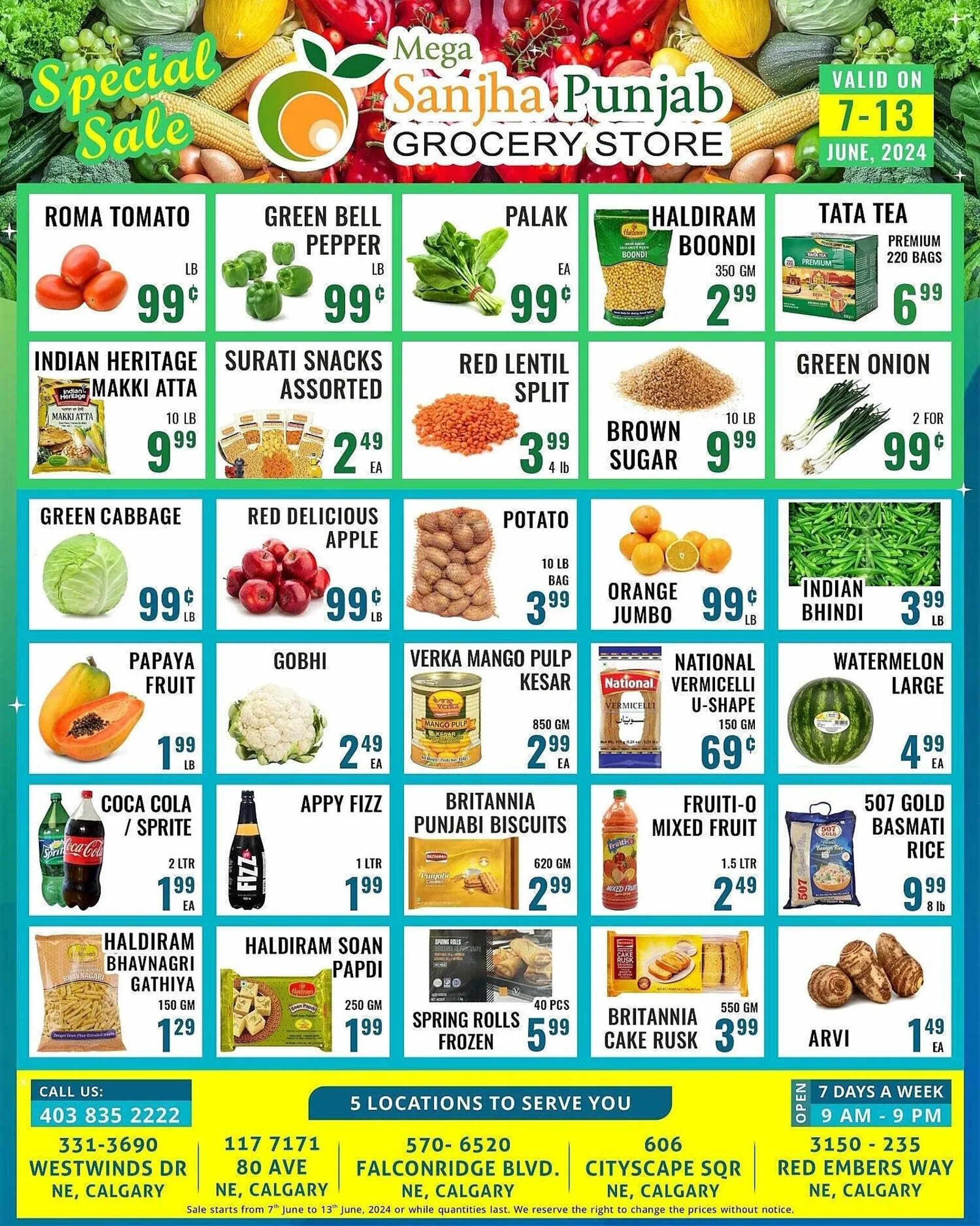 Mega Sanjha Punjab Grocery Store flyer - 1