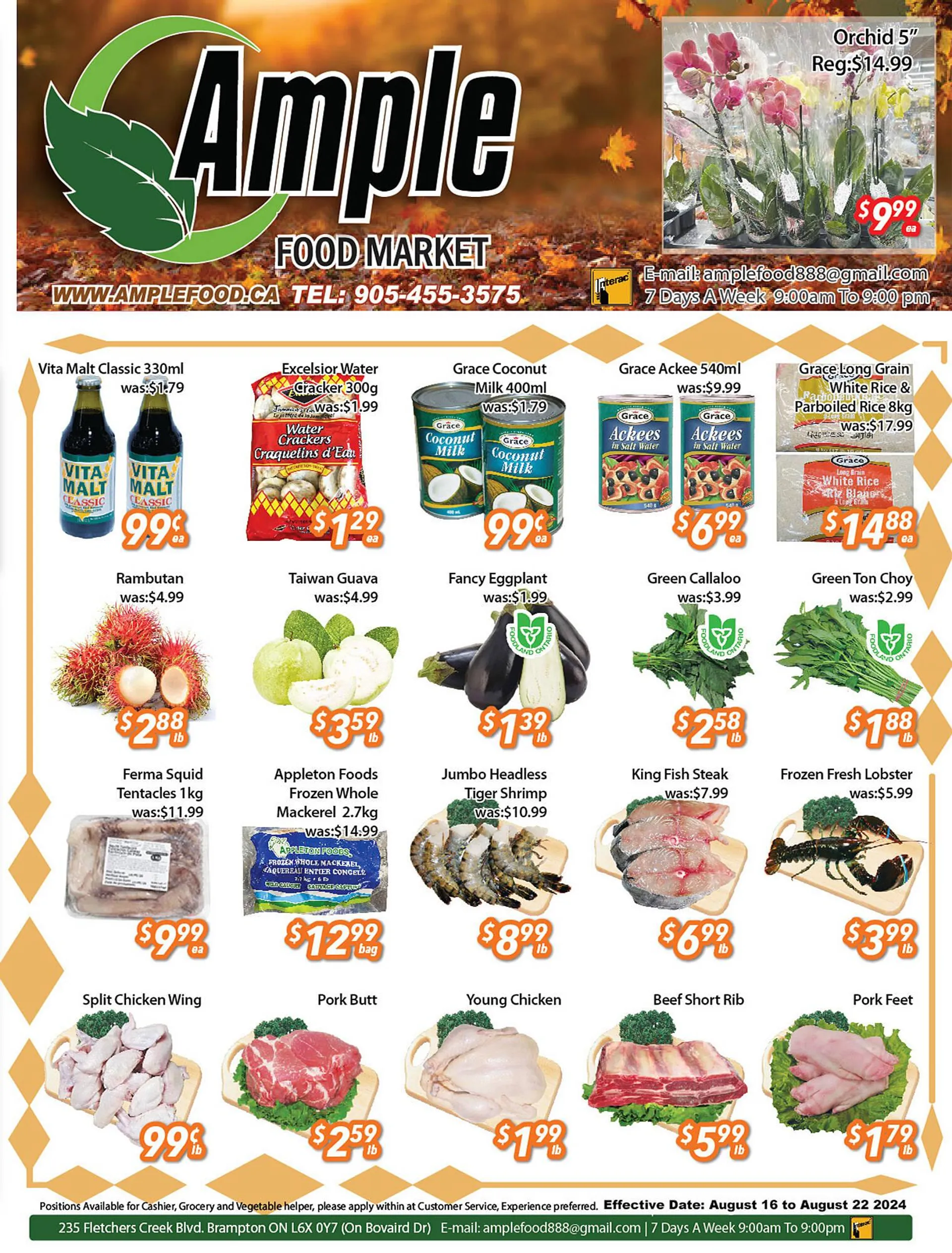 Ample Food Market flyer - 1