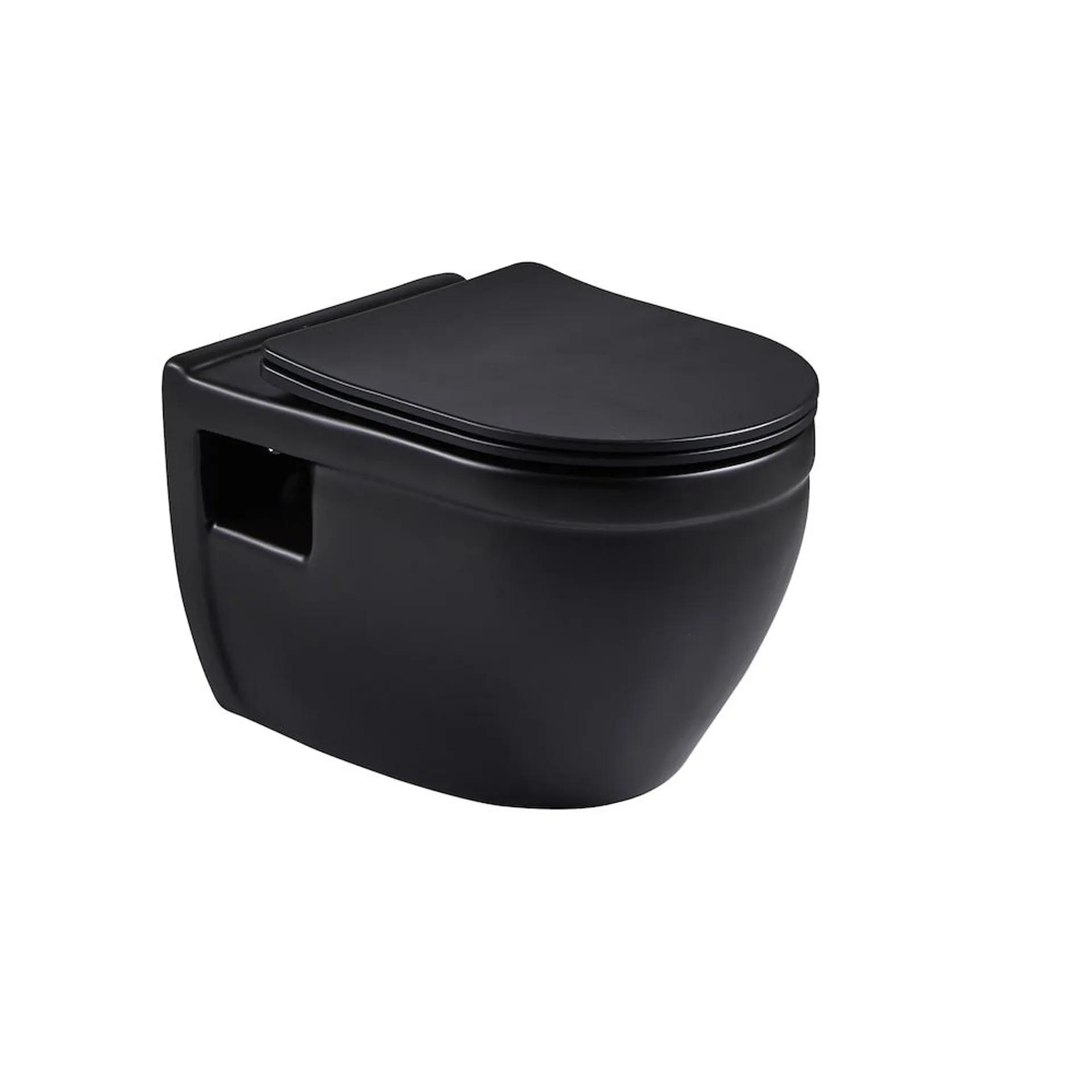 Tiguane-BK Wall Hung Elongated Toilet Bowl in Matte Black