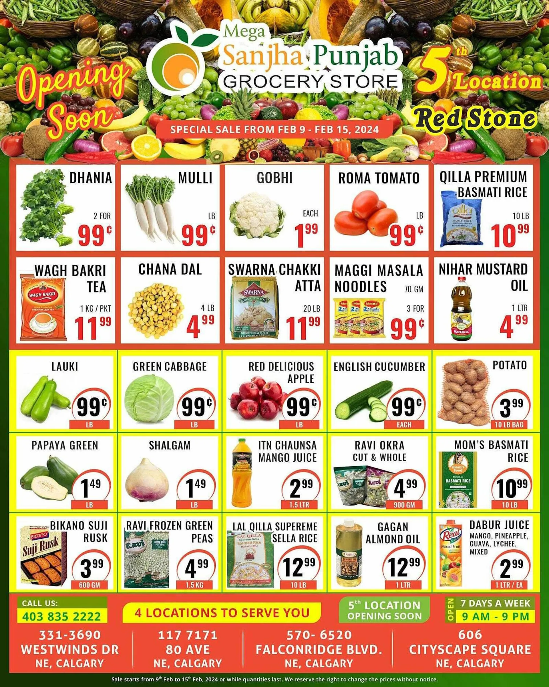 Mega Sanjha Punjab Grocery Store flyer from February 9 to February 16 2024 - flyer page 