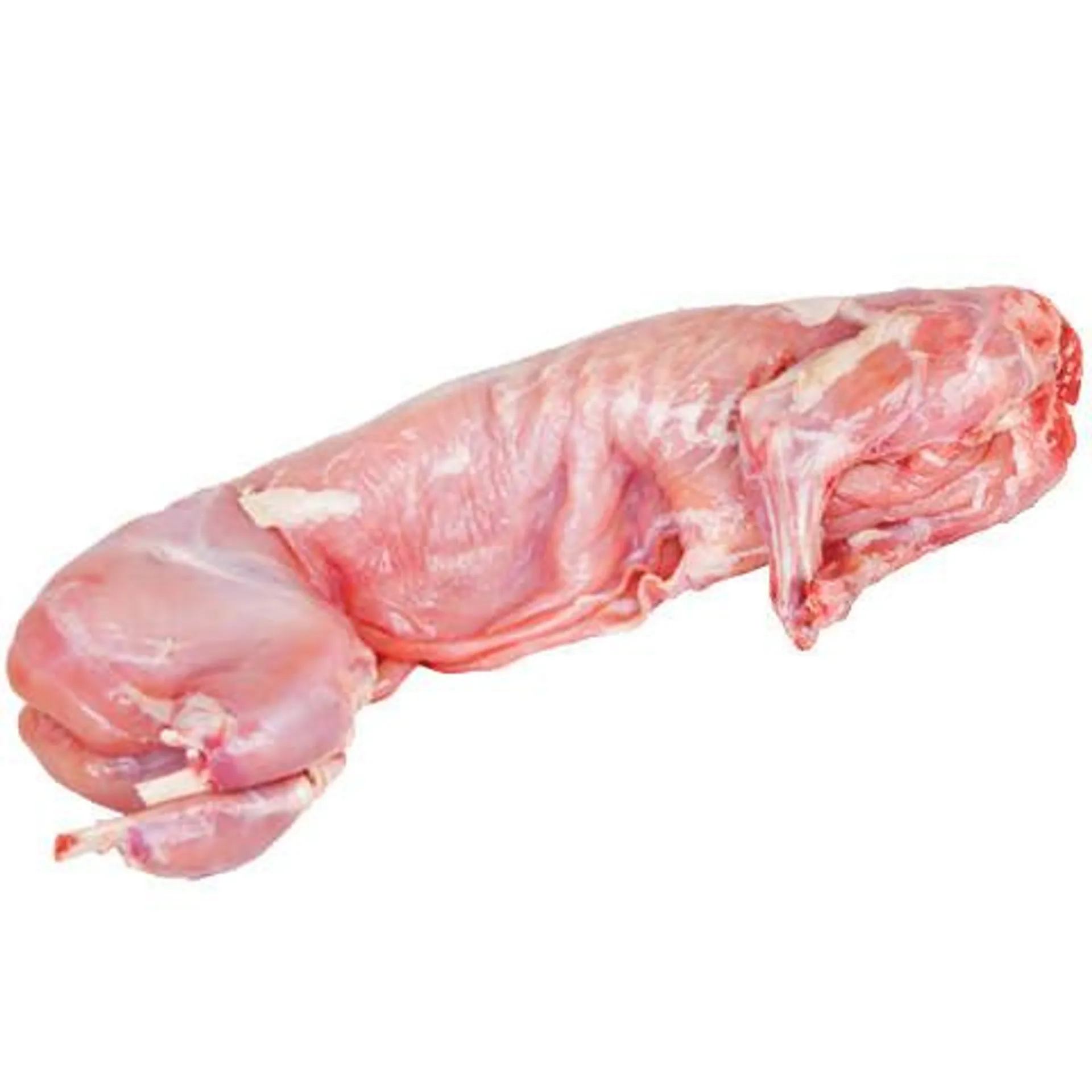 Frozen Whole Rabbit