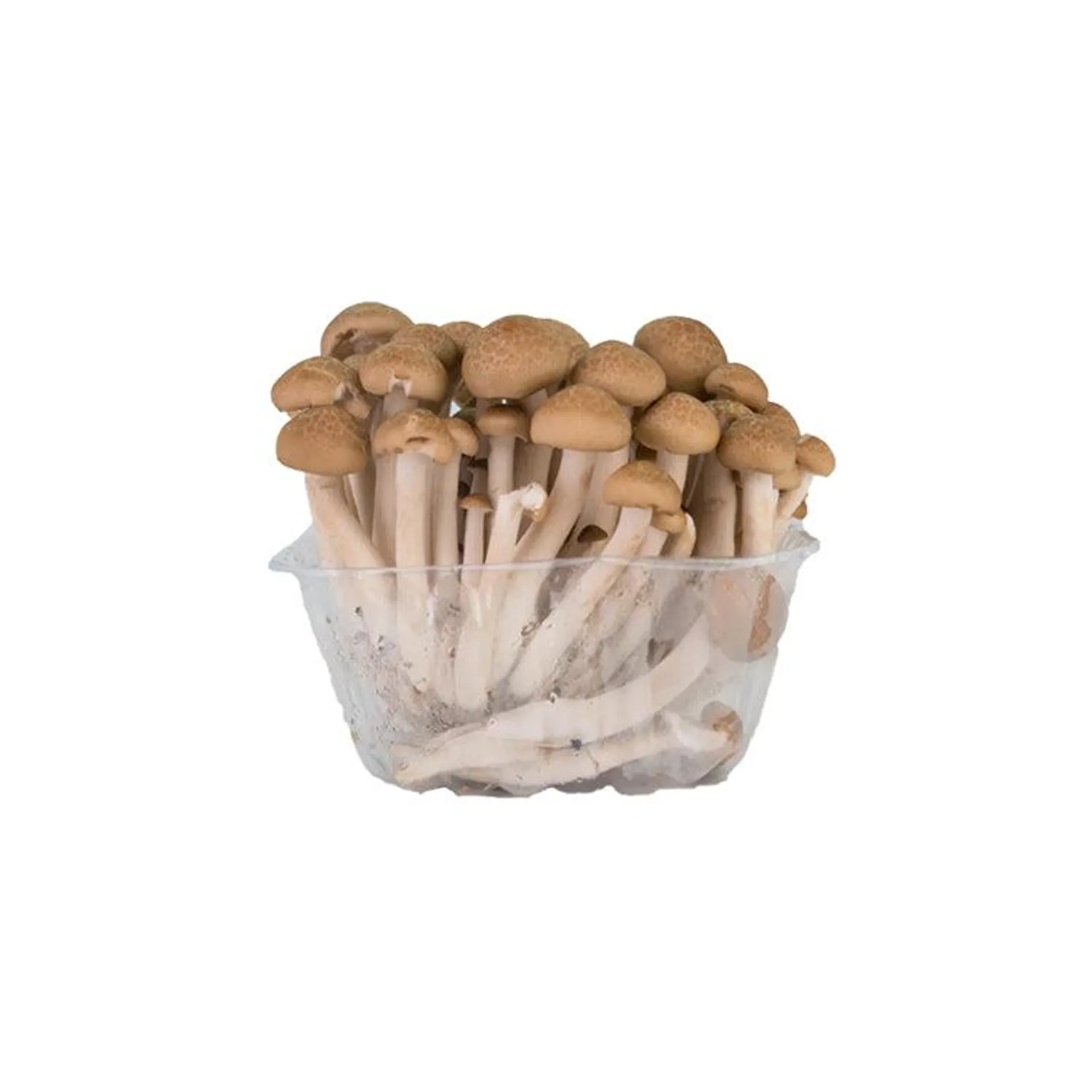 Brown Mushroom 150g