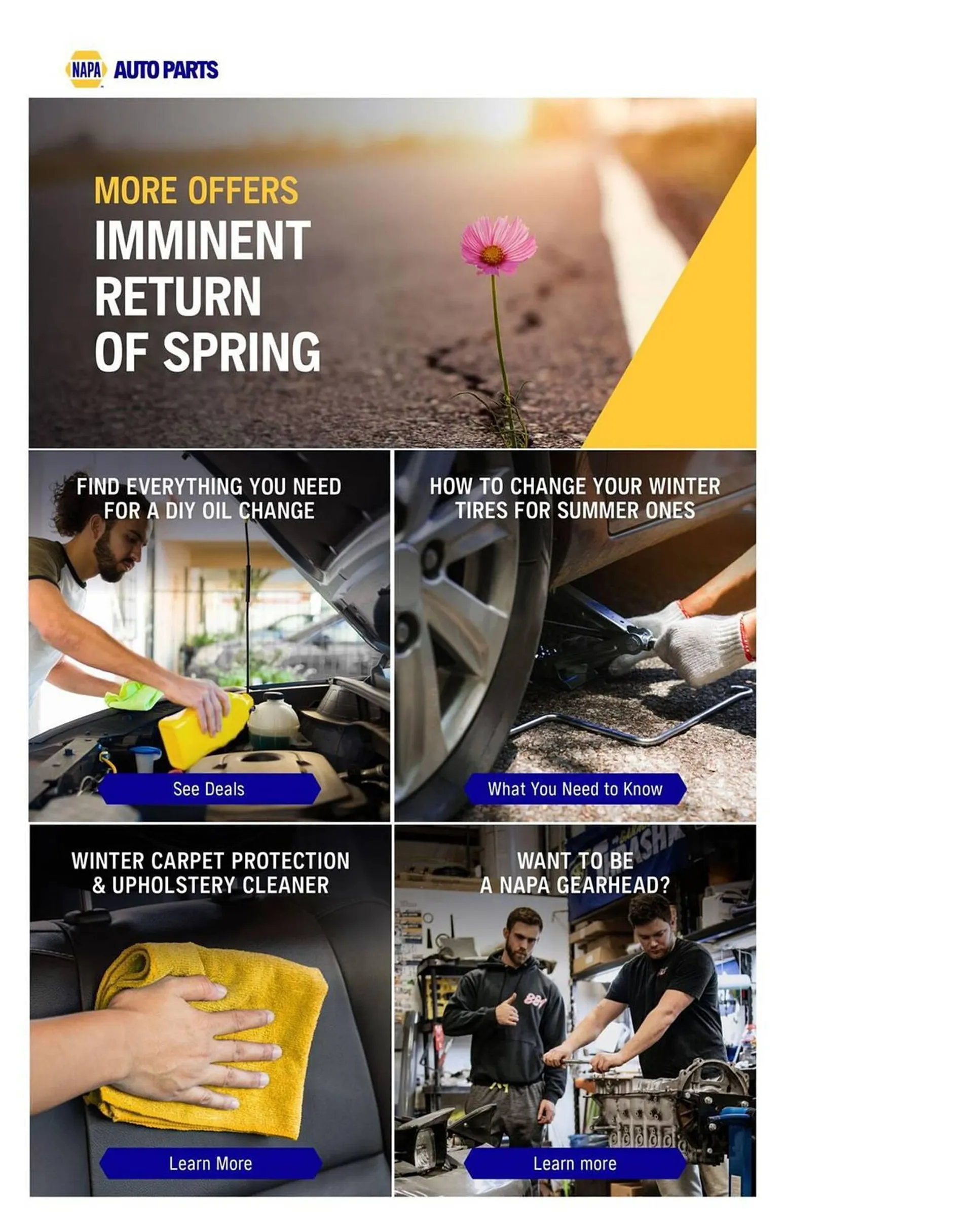 NAPA Auto Parts flyer from March 1 to March 31 2024 - flyer page 9